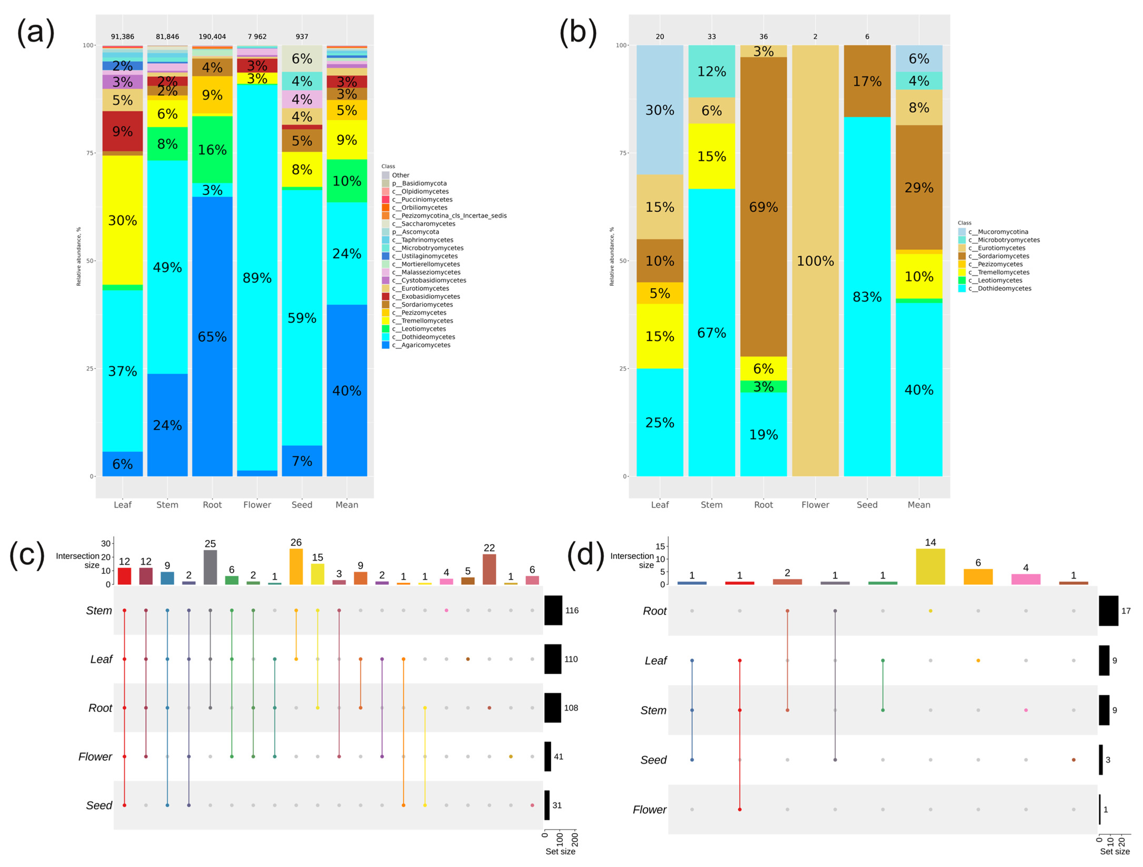 Plants 13 02618 g003
