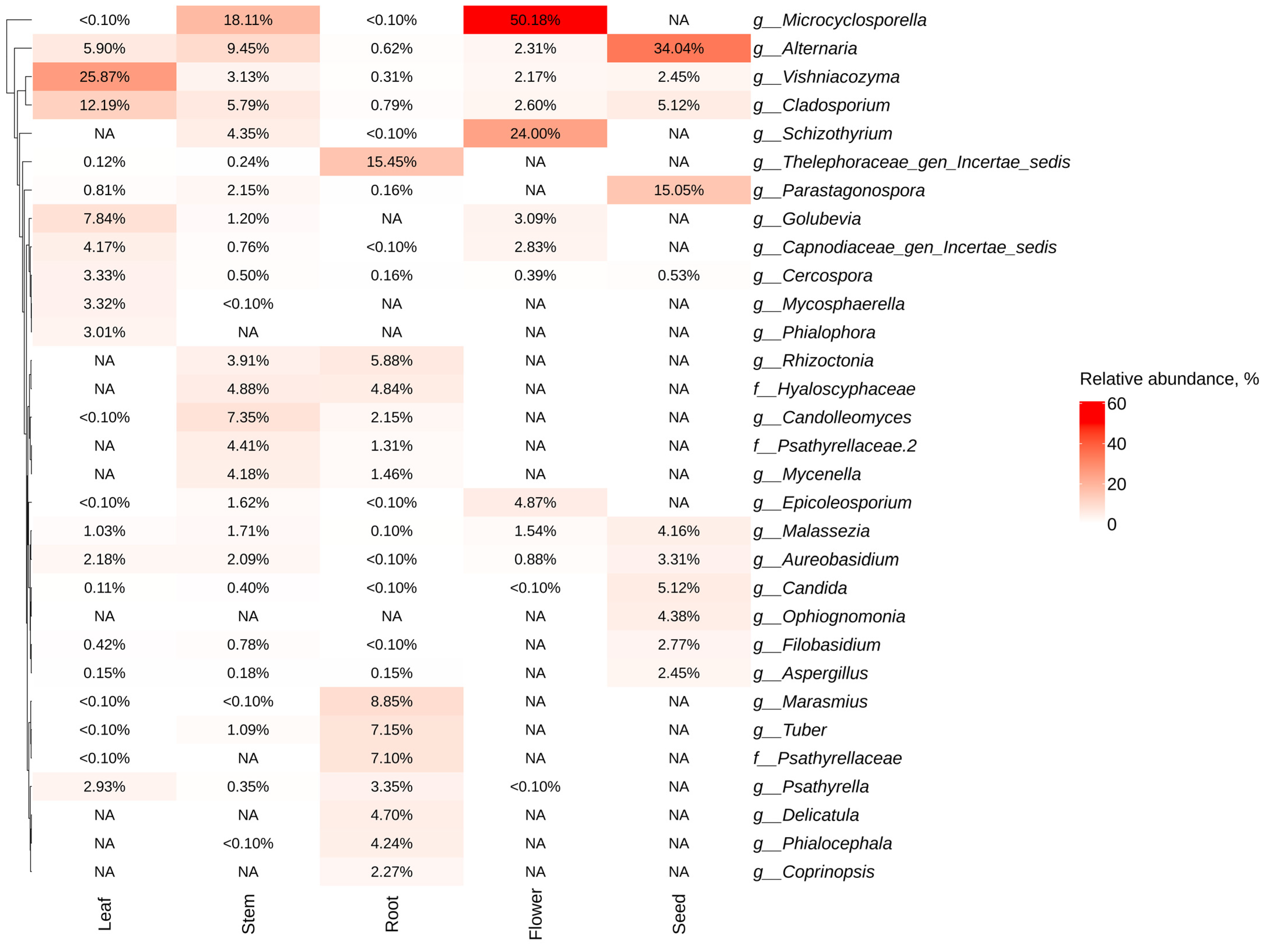 Plants 13 02618 g004