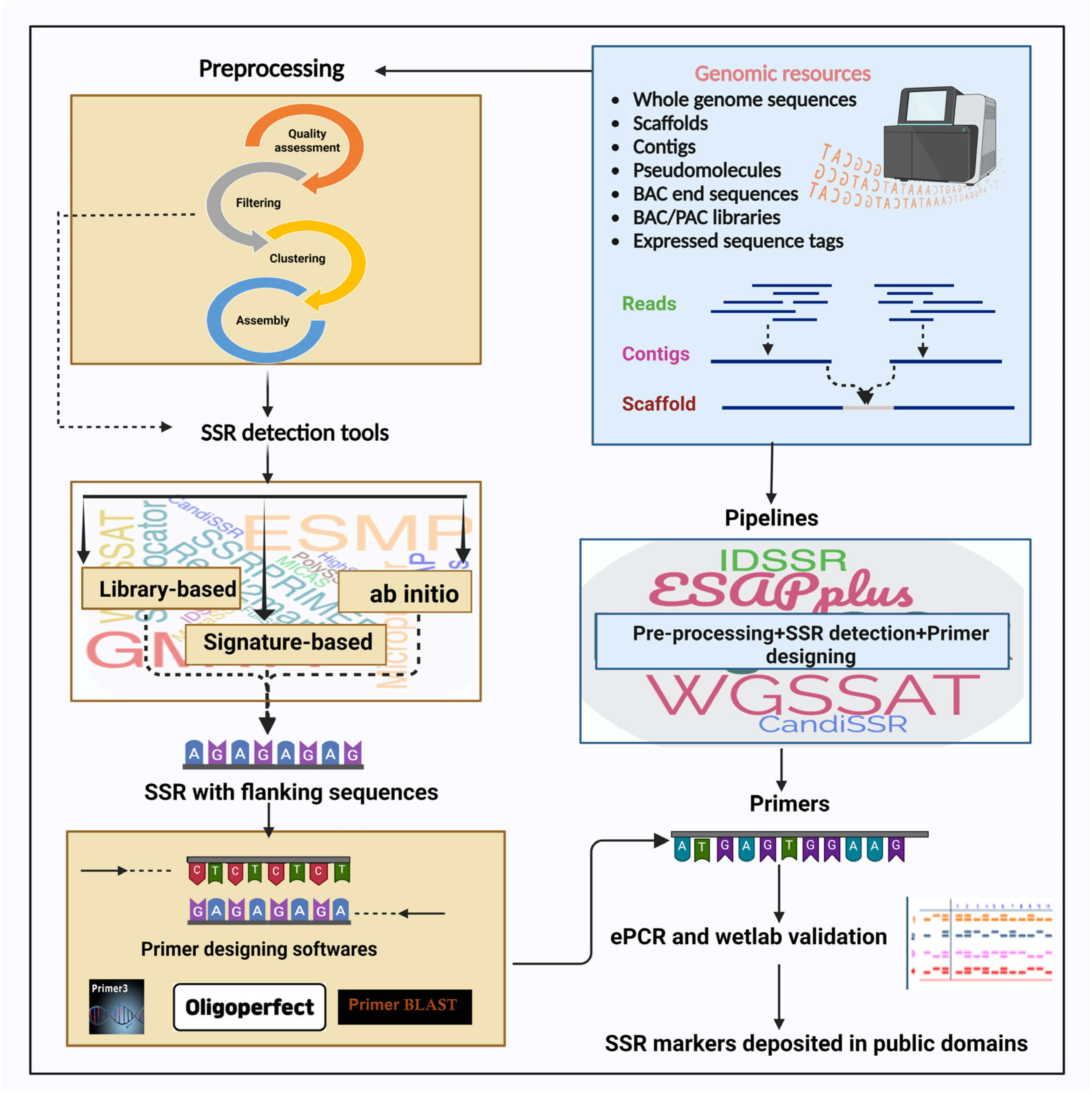 Plants 13 02619 g001 Plants 13 02619 g001