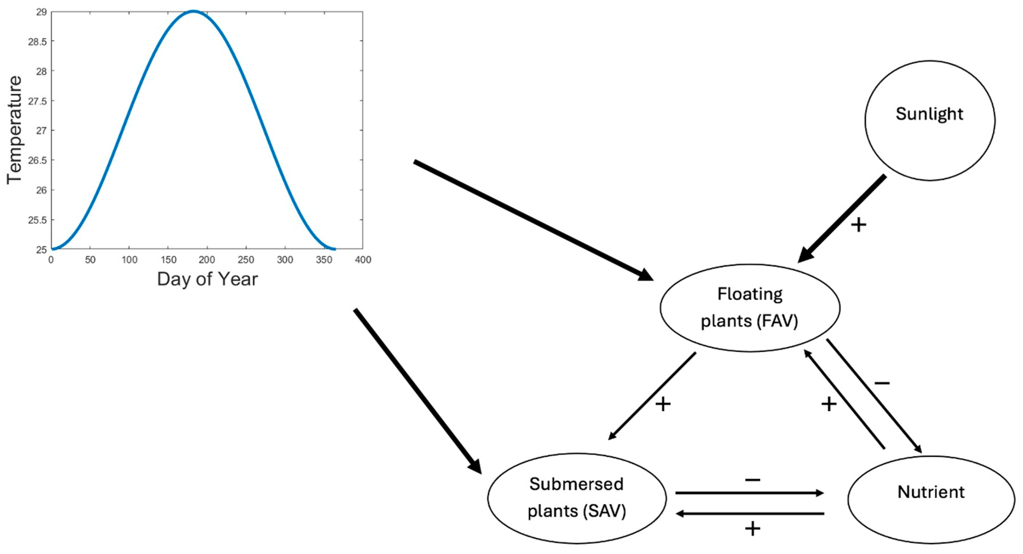 Plants 13 02621 g004
