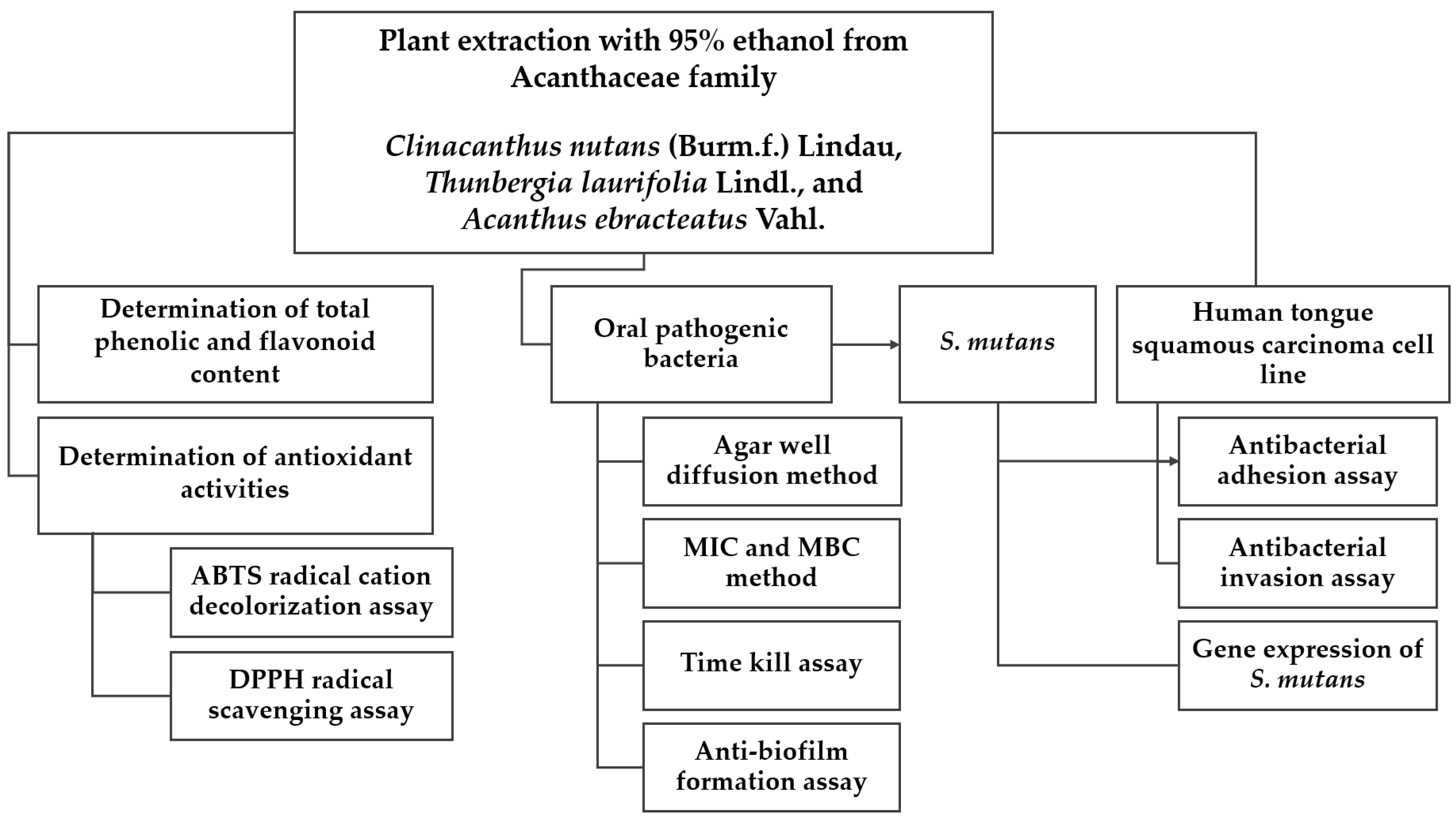 Plants 13 02622 g006
