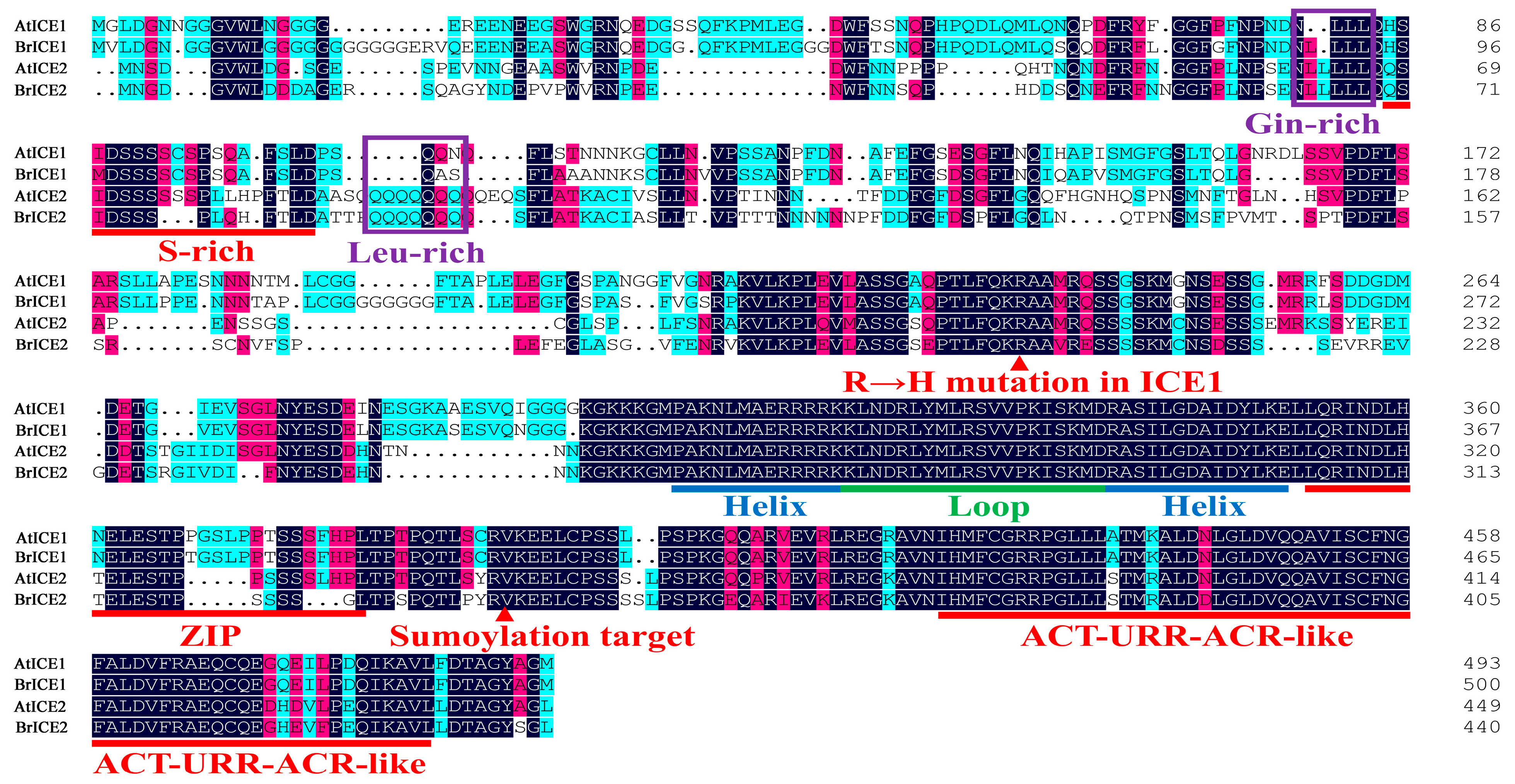 Plants 13 02625 g003 Plants 13 02625 g003
