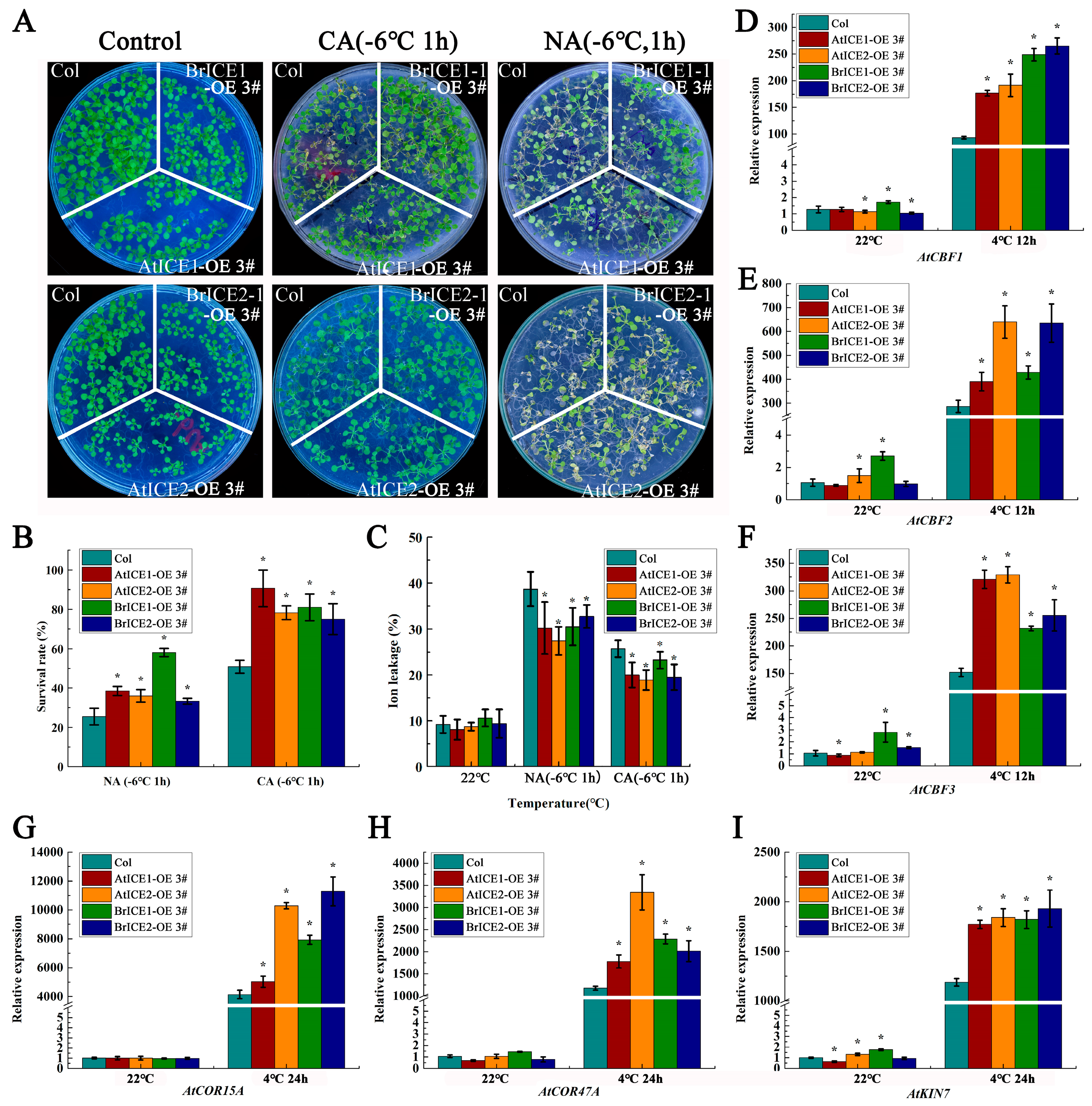 Plants 13 02625 g006 Plants 13 02625 g006