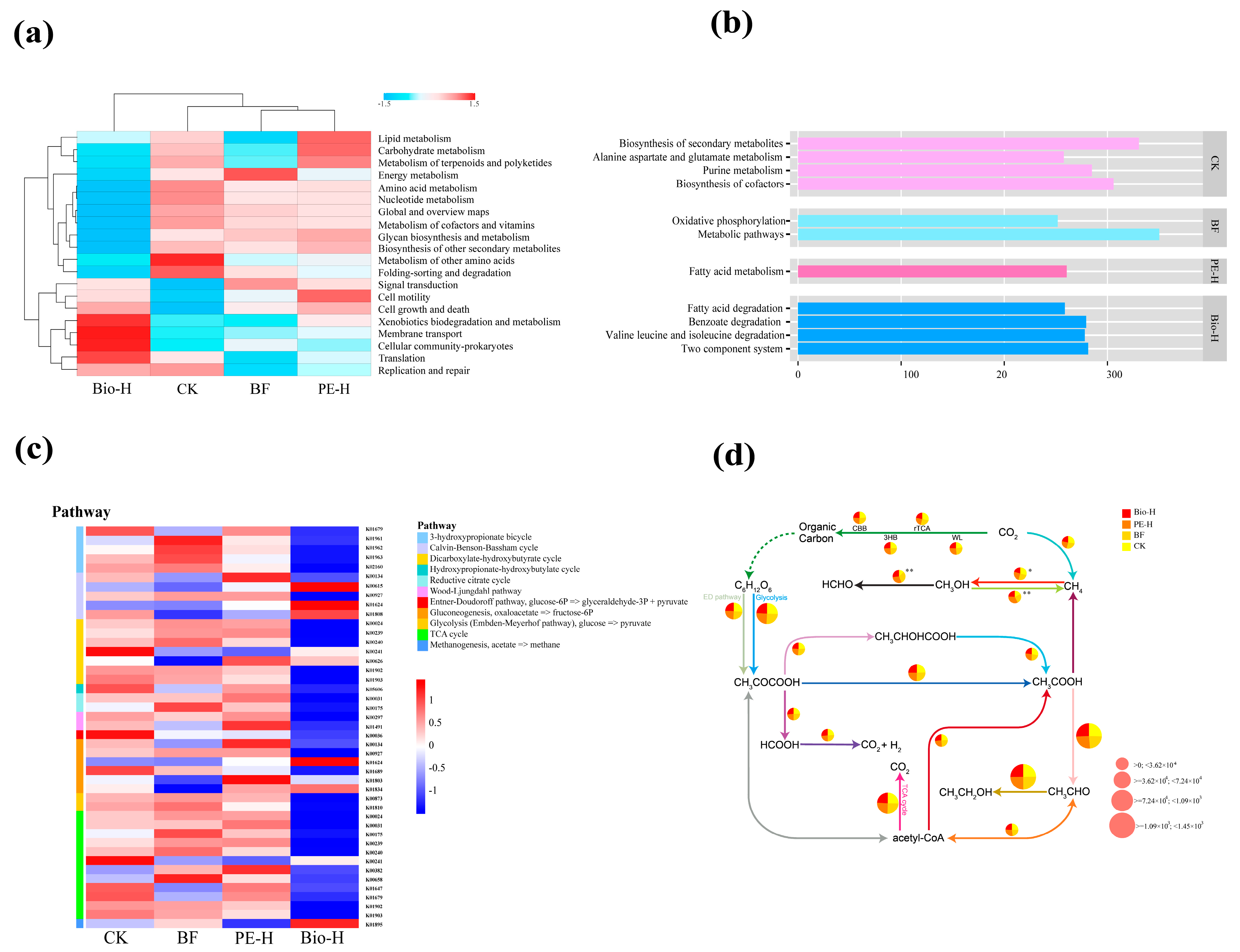 The Structural and Functional Responses of Rhizosphere