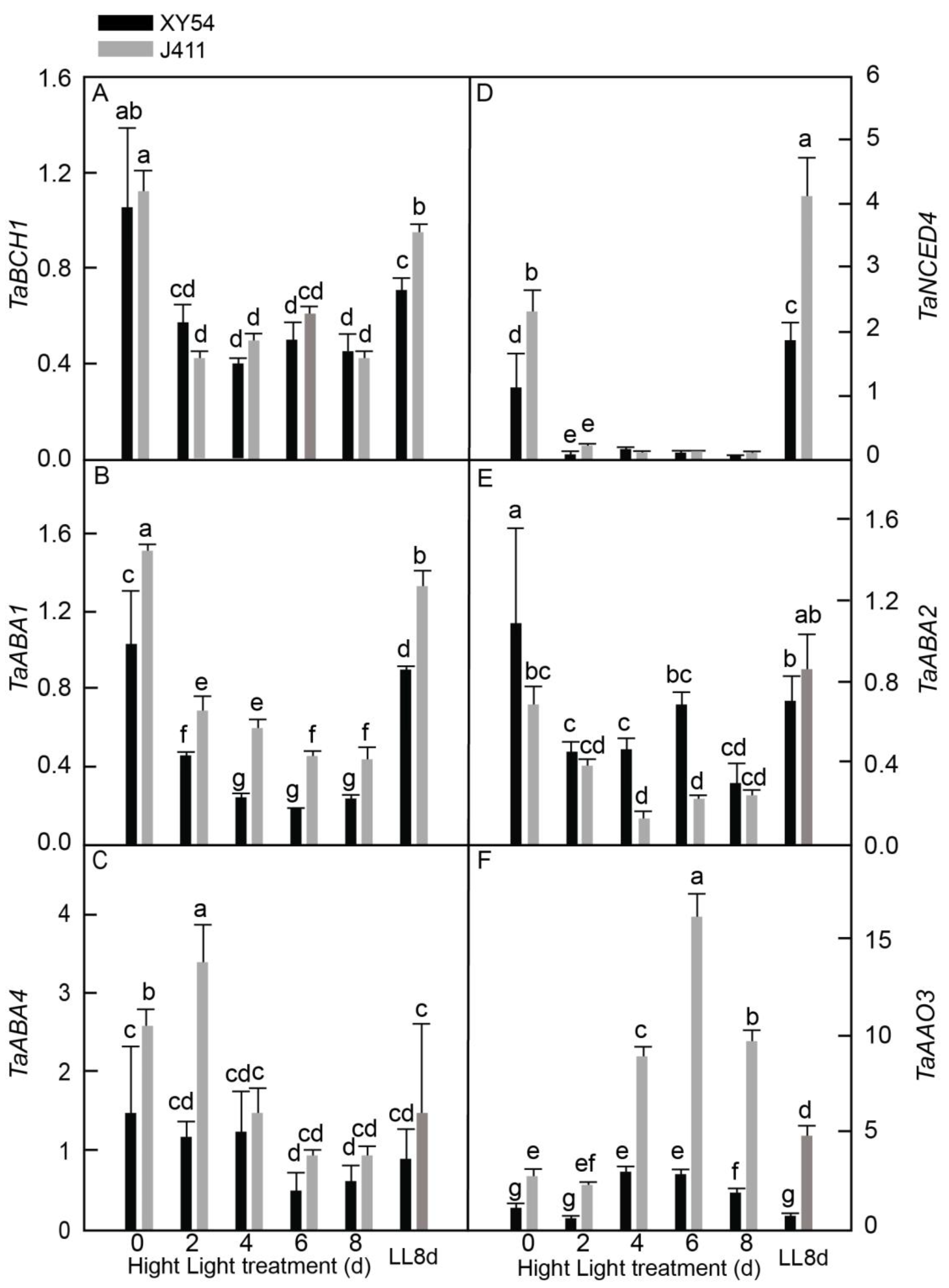 Plants 13 02628 g005