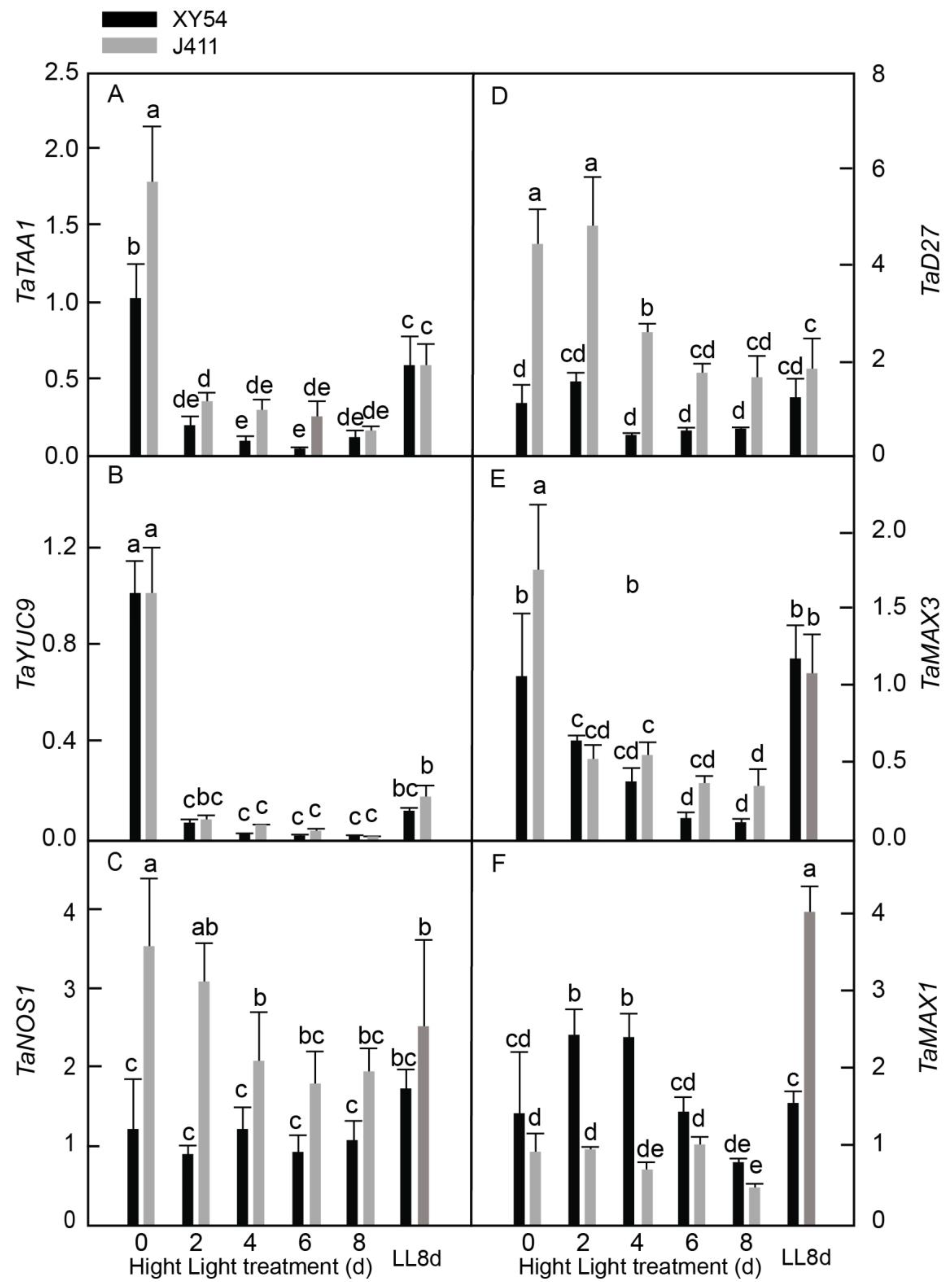 Plants 13 02628 g008