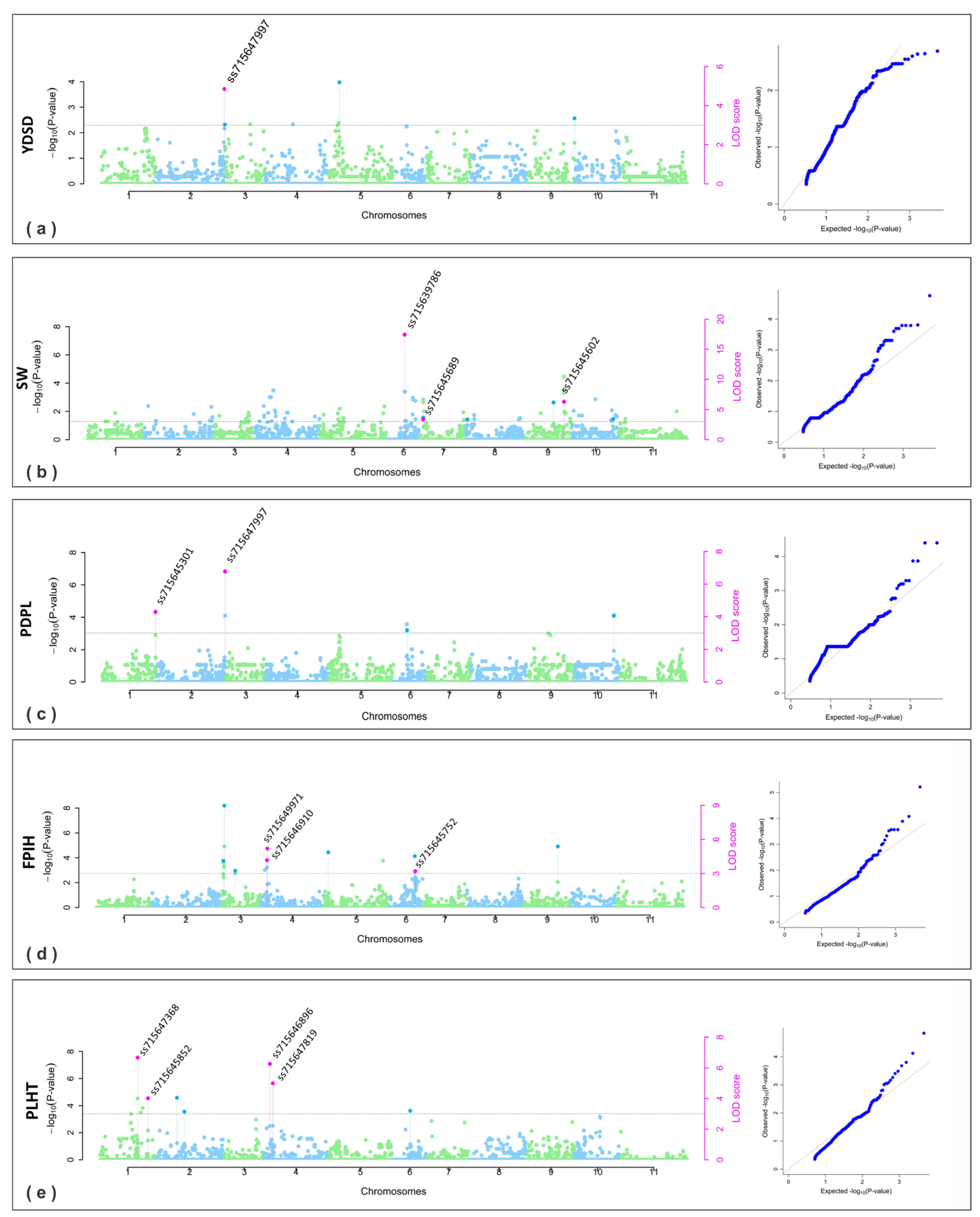 Plants 13 02638 g002