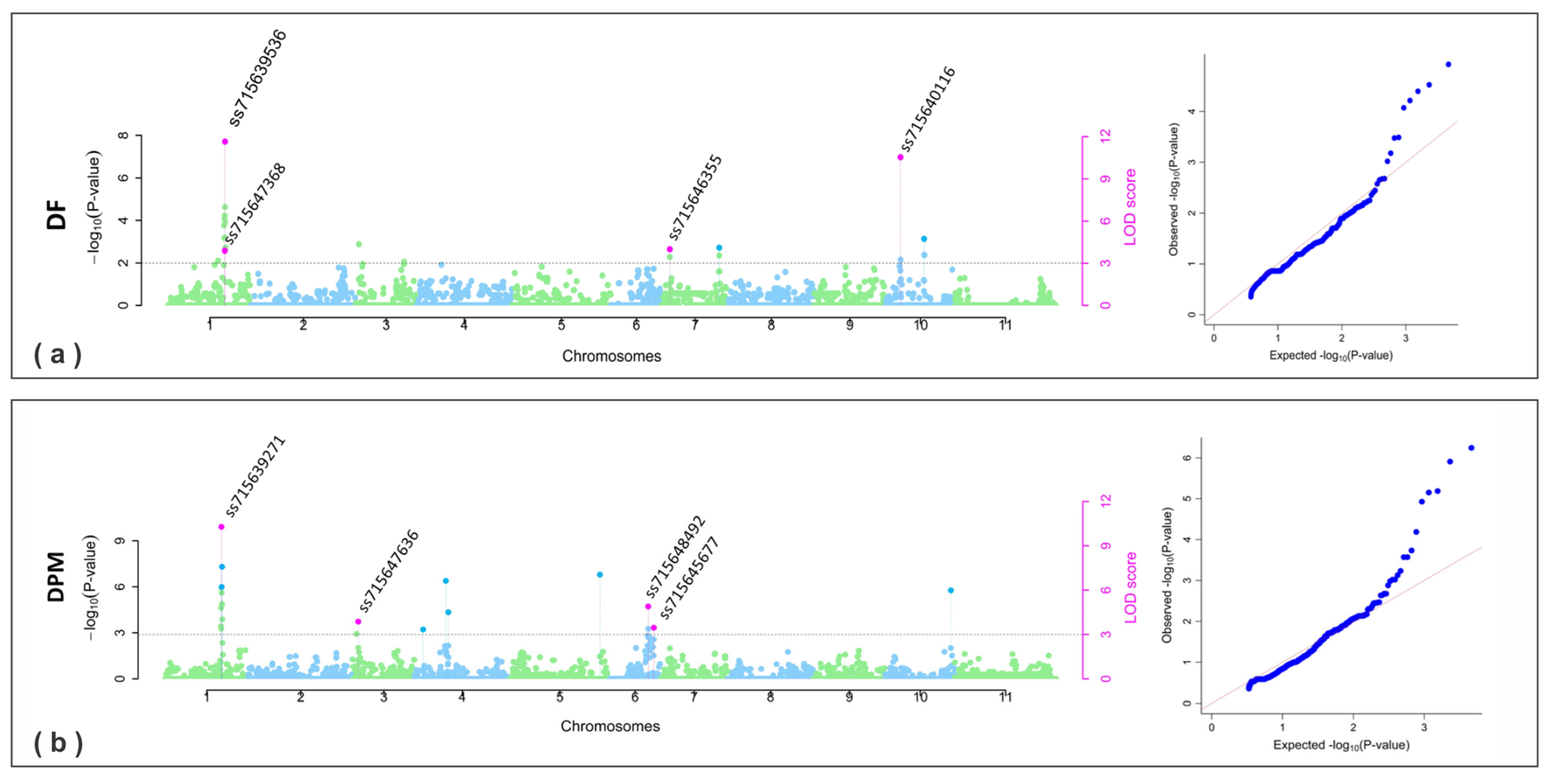 Plants 13 02638 g003