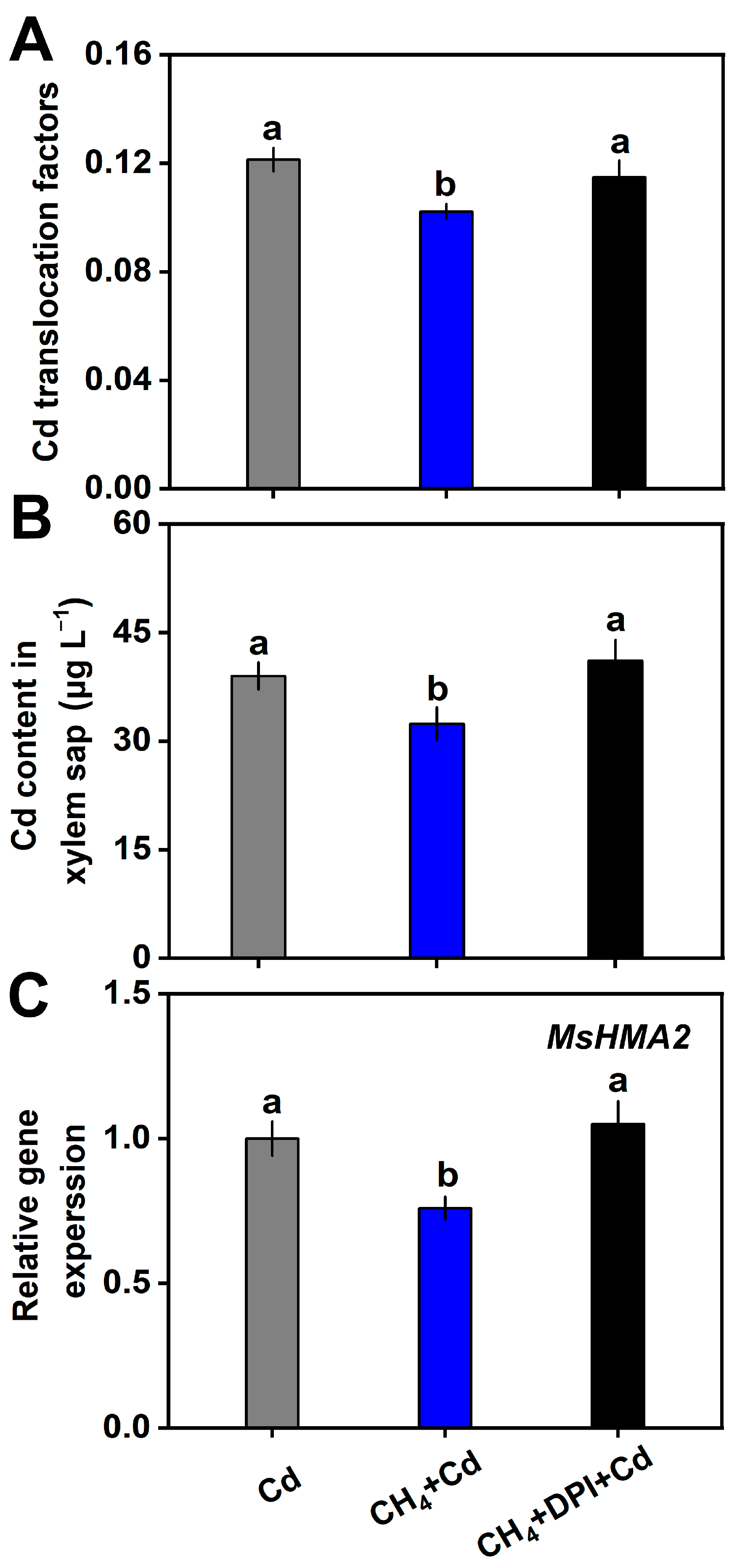 Plants 13 02639 g006