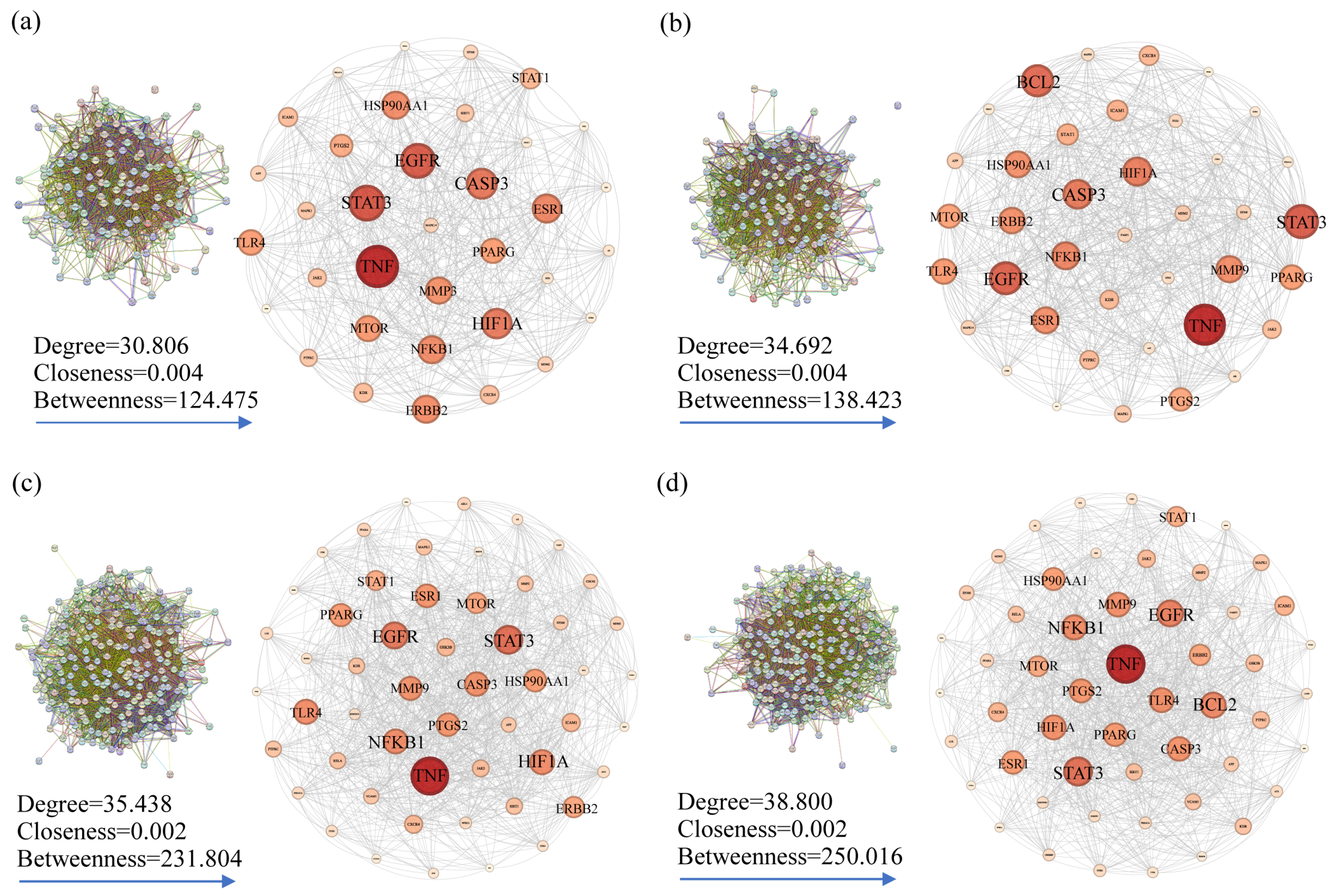 Plants 13 02640 g004