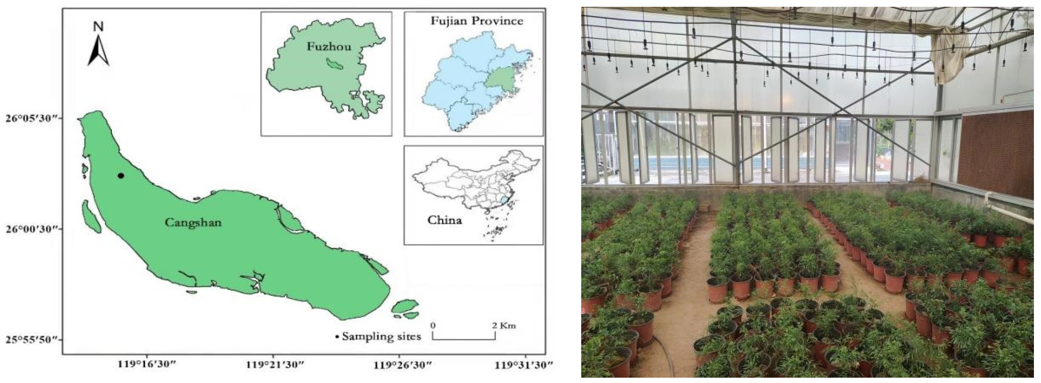 Plants 13 02641 g001