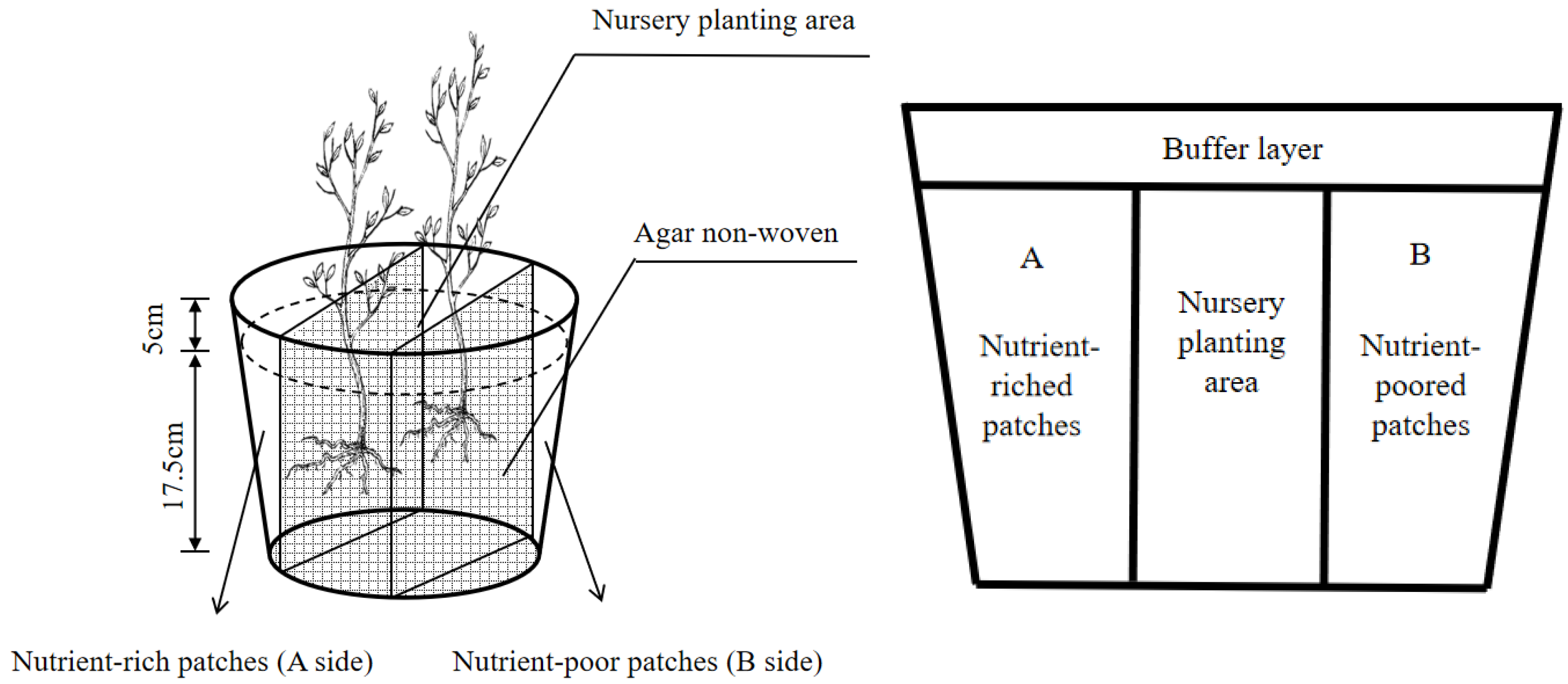 Plants 13 02641 g002