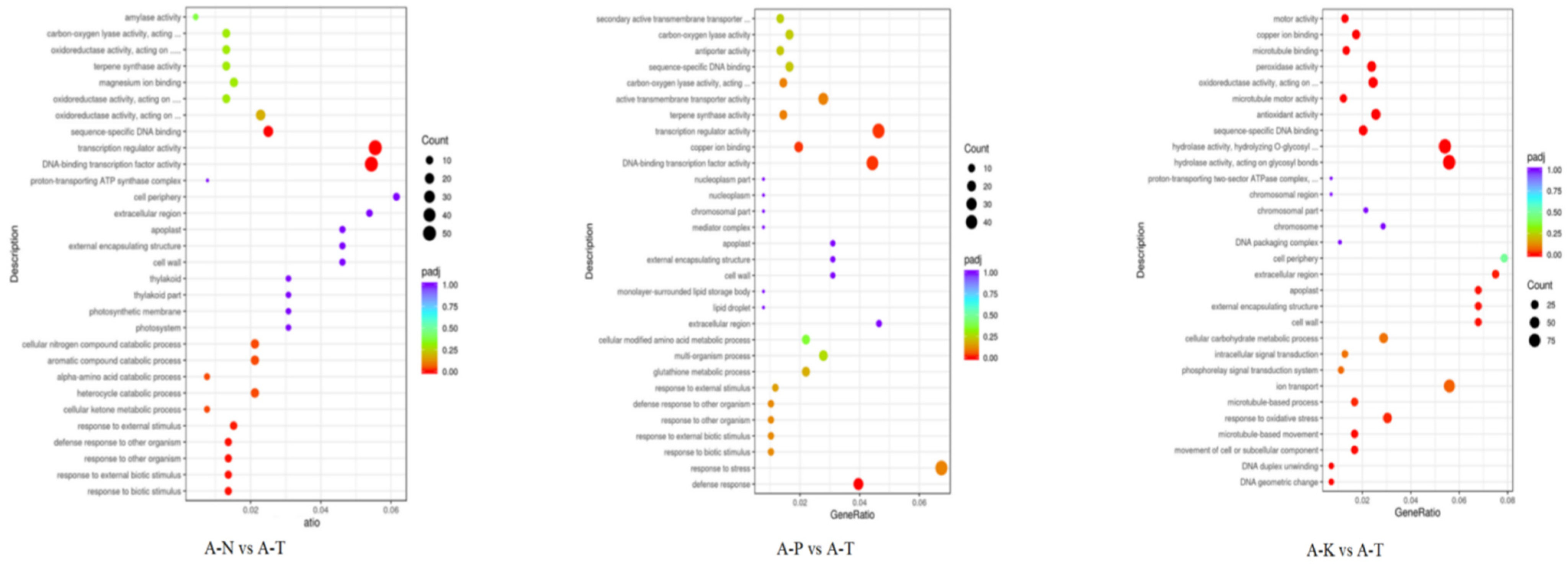 Plants 13 02641 g010