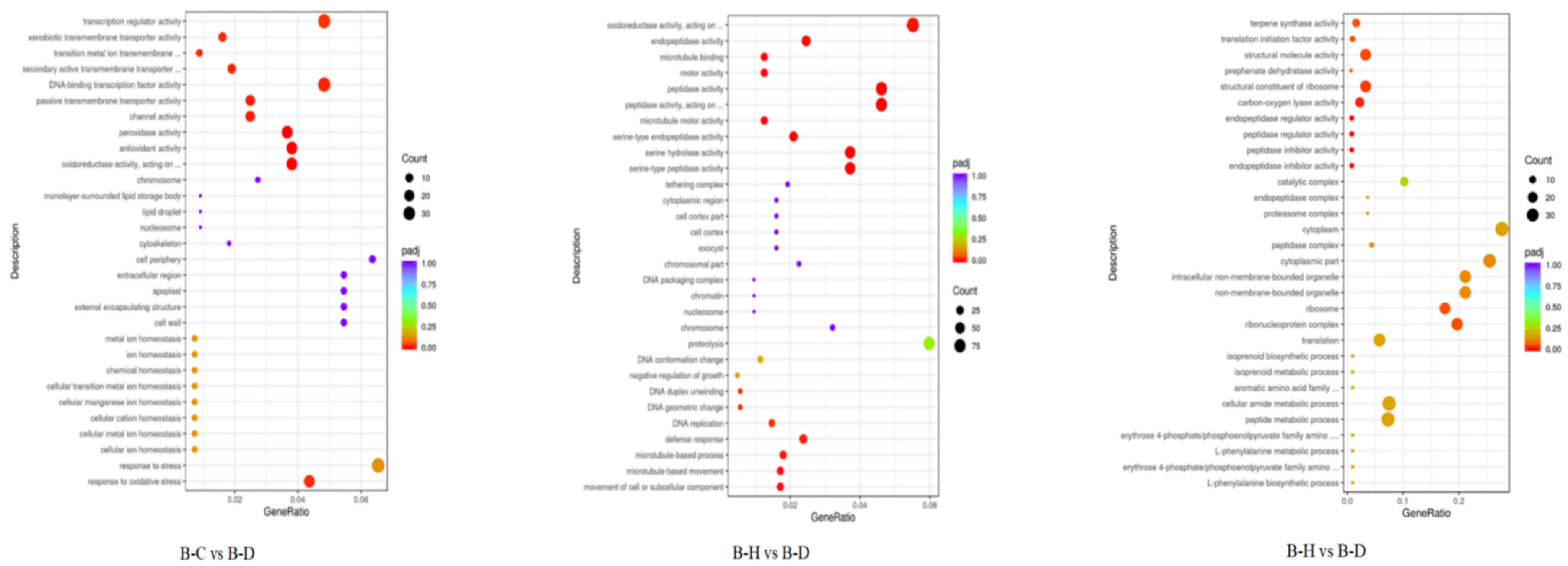 Plants 13 02641 g011