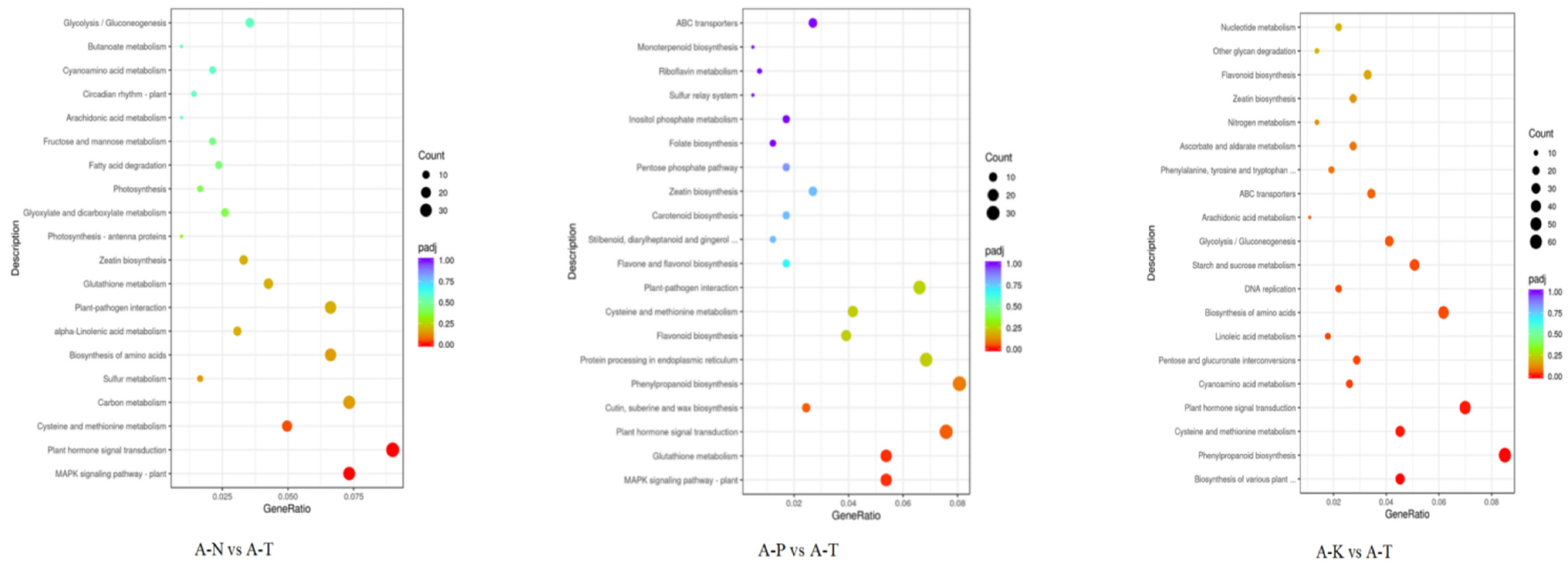 Plants 13 02641 g012