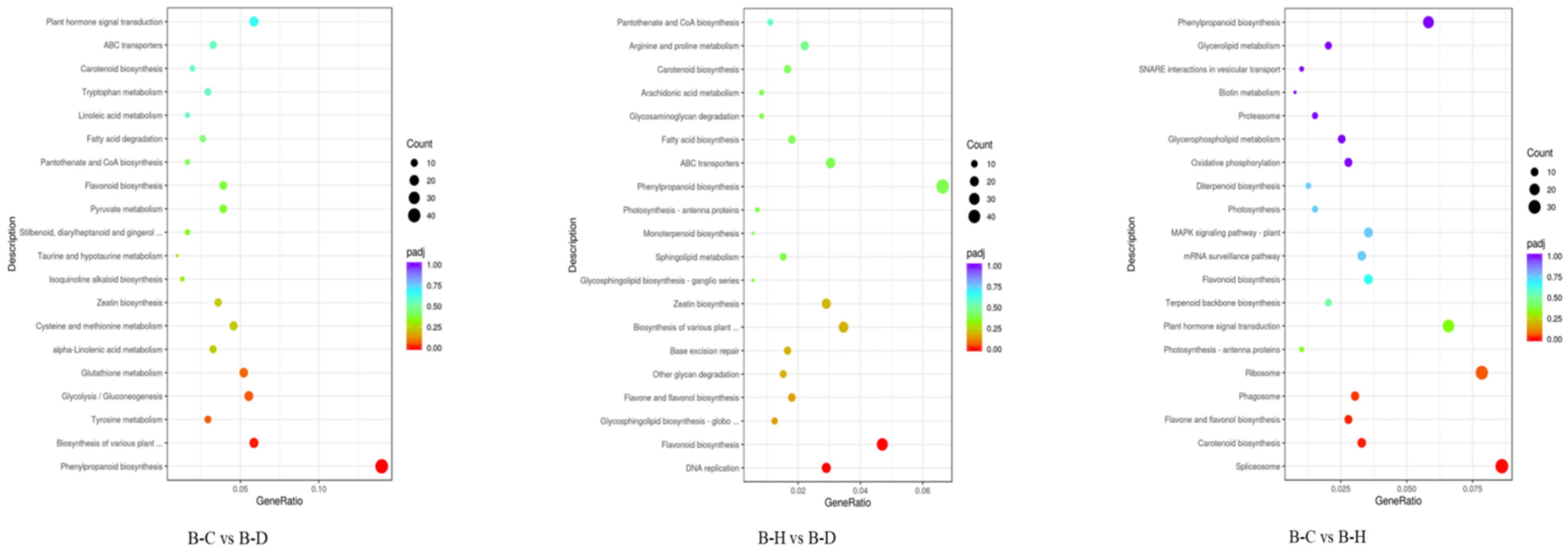 Plants 13 02641 g013