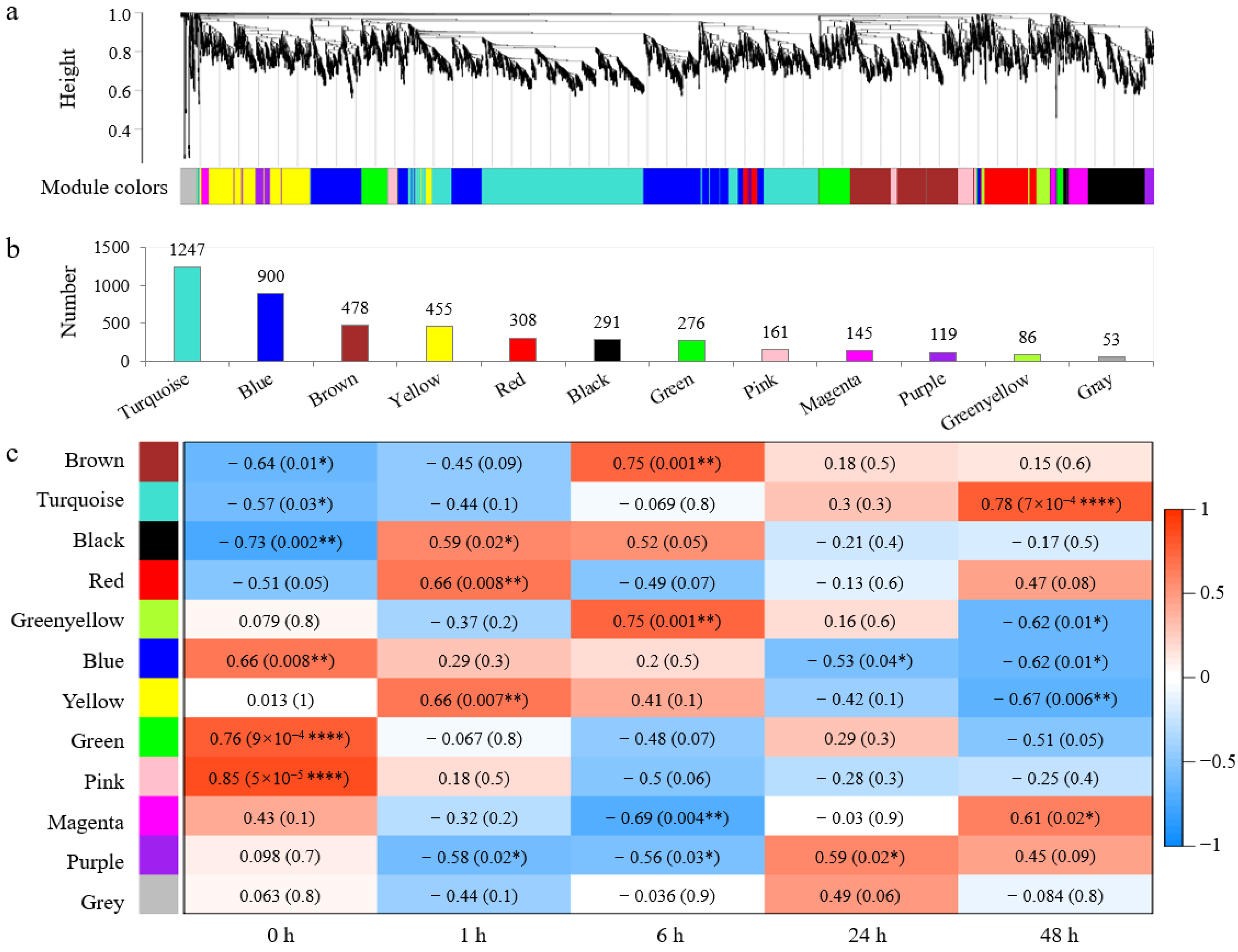 Plants 13 02642 g002