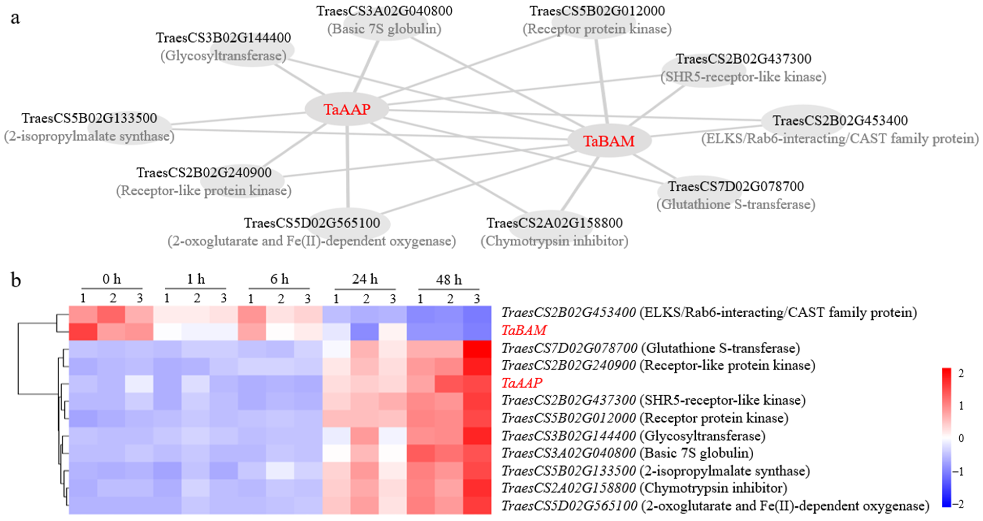 Plants 13 02642 g005