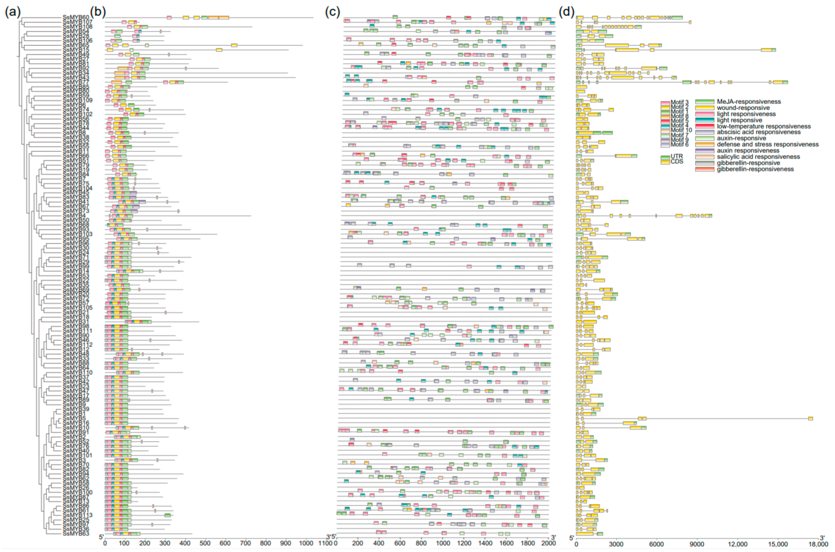 Plants 13 02645 g002