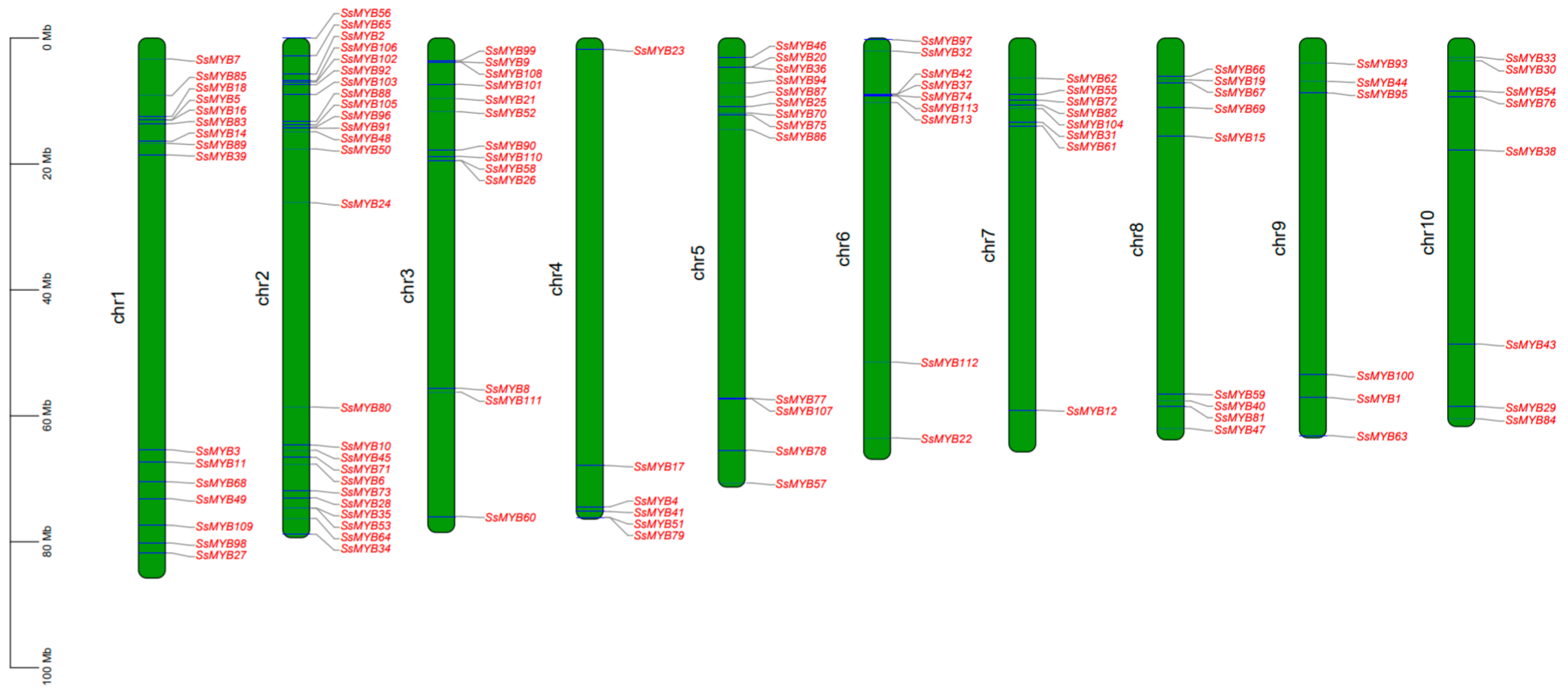 Plants 13 02645 g003