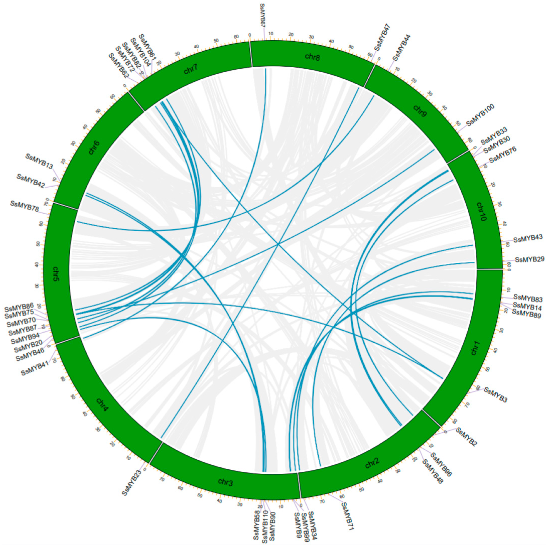 Plants 13 02645 g004