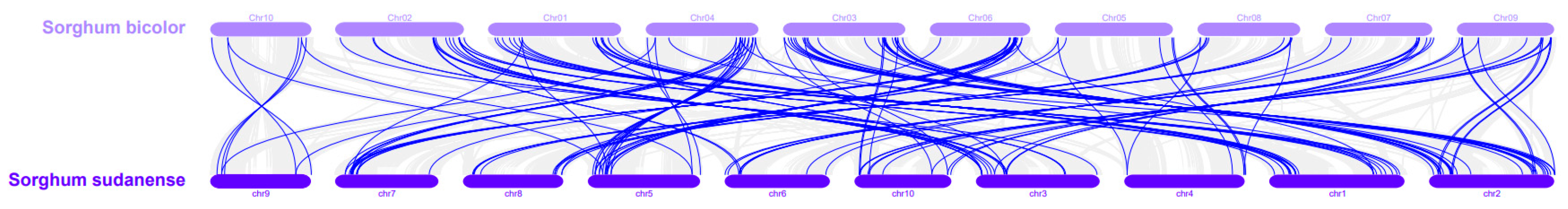Plants 13 02645 g005