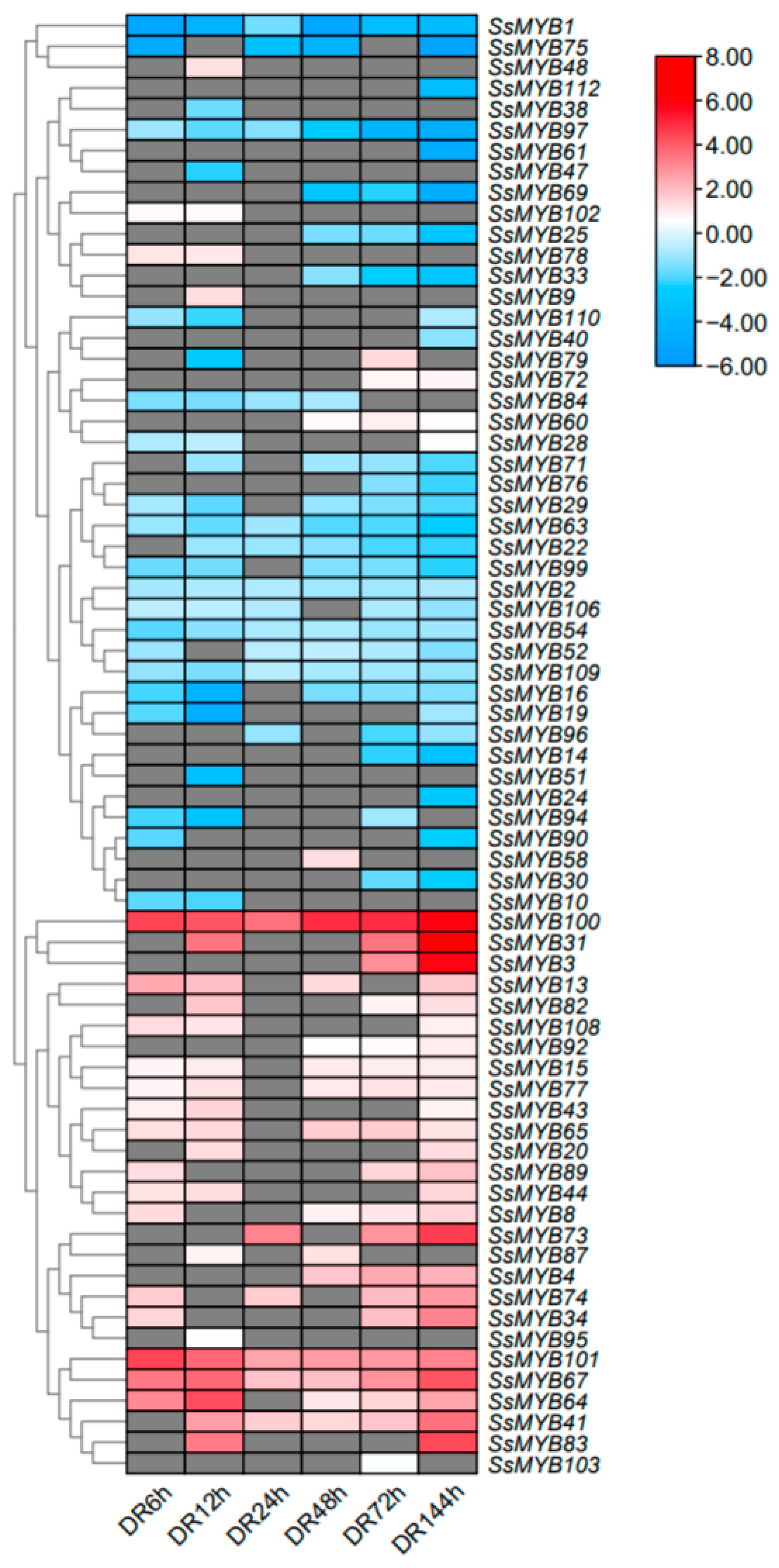 Plants 13 02645 g006