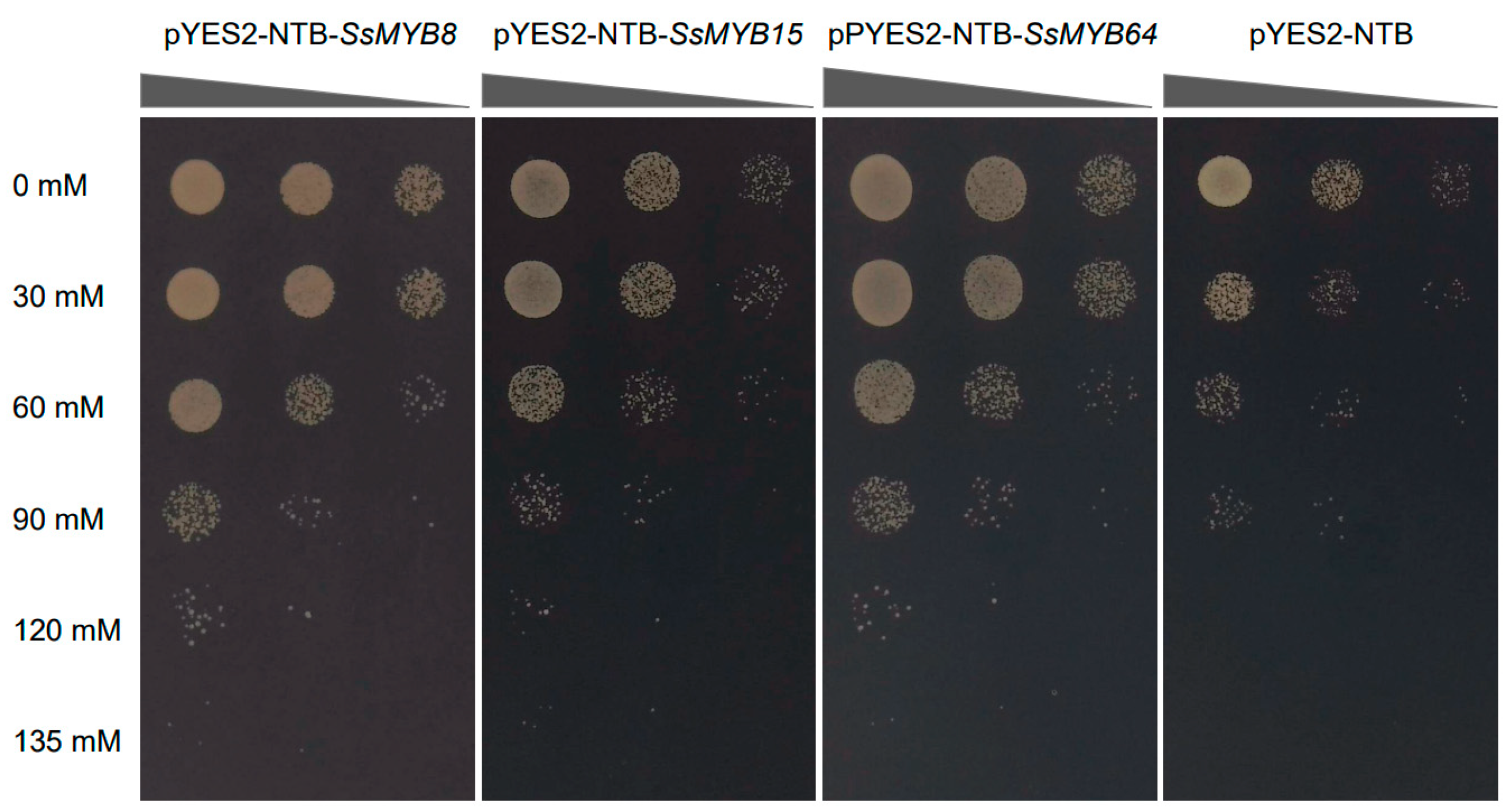 Plants 13 02645 g008