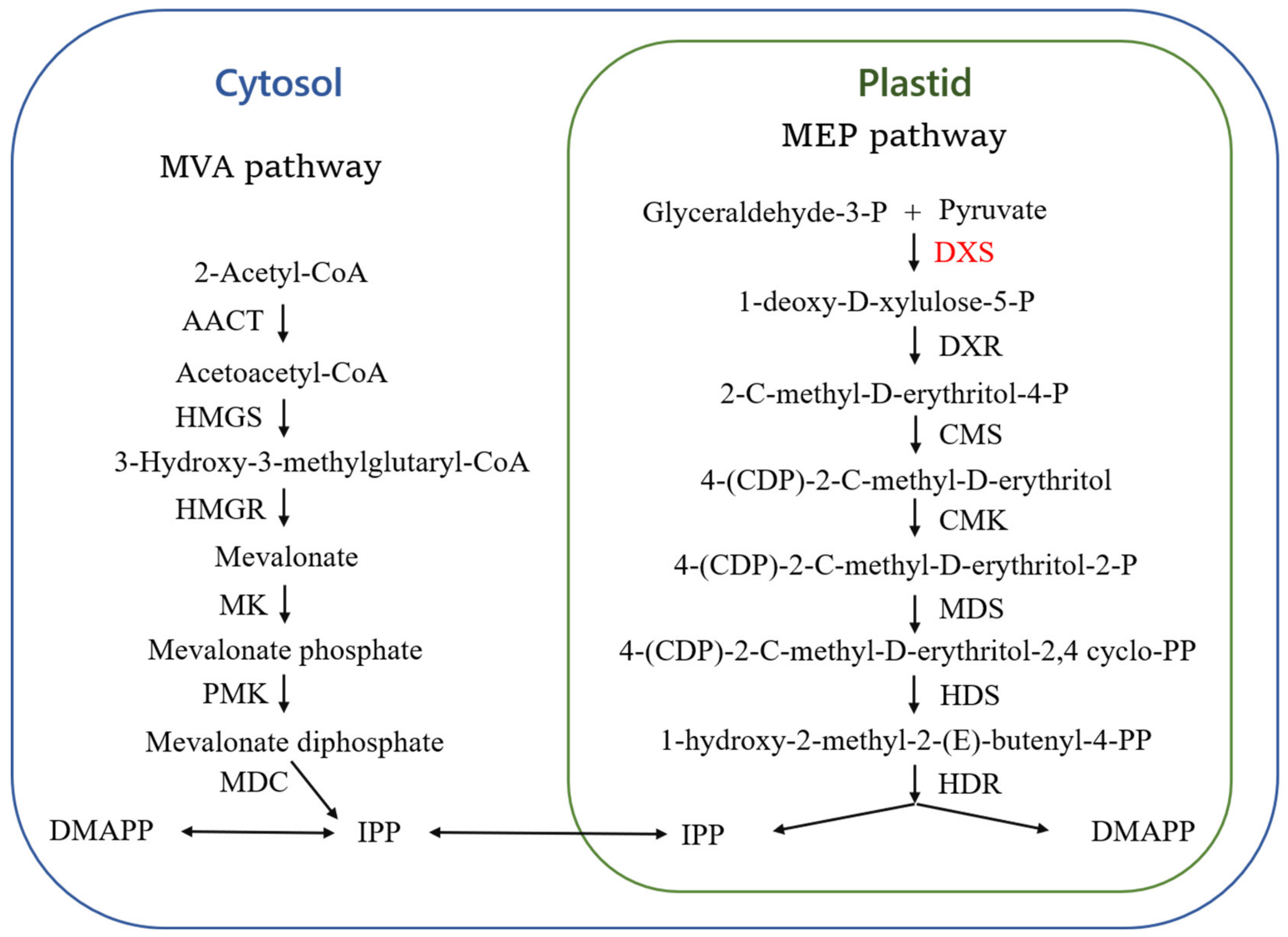 Plants 13 02647 g001
