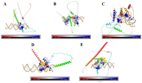 Functional Identification and Regulatory Active Site