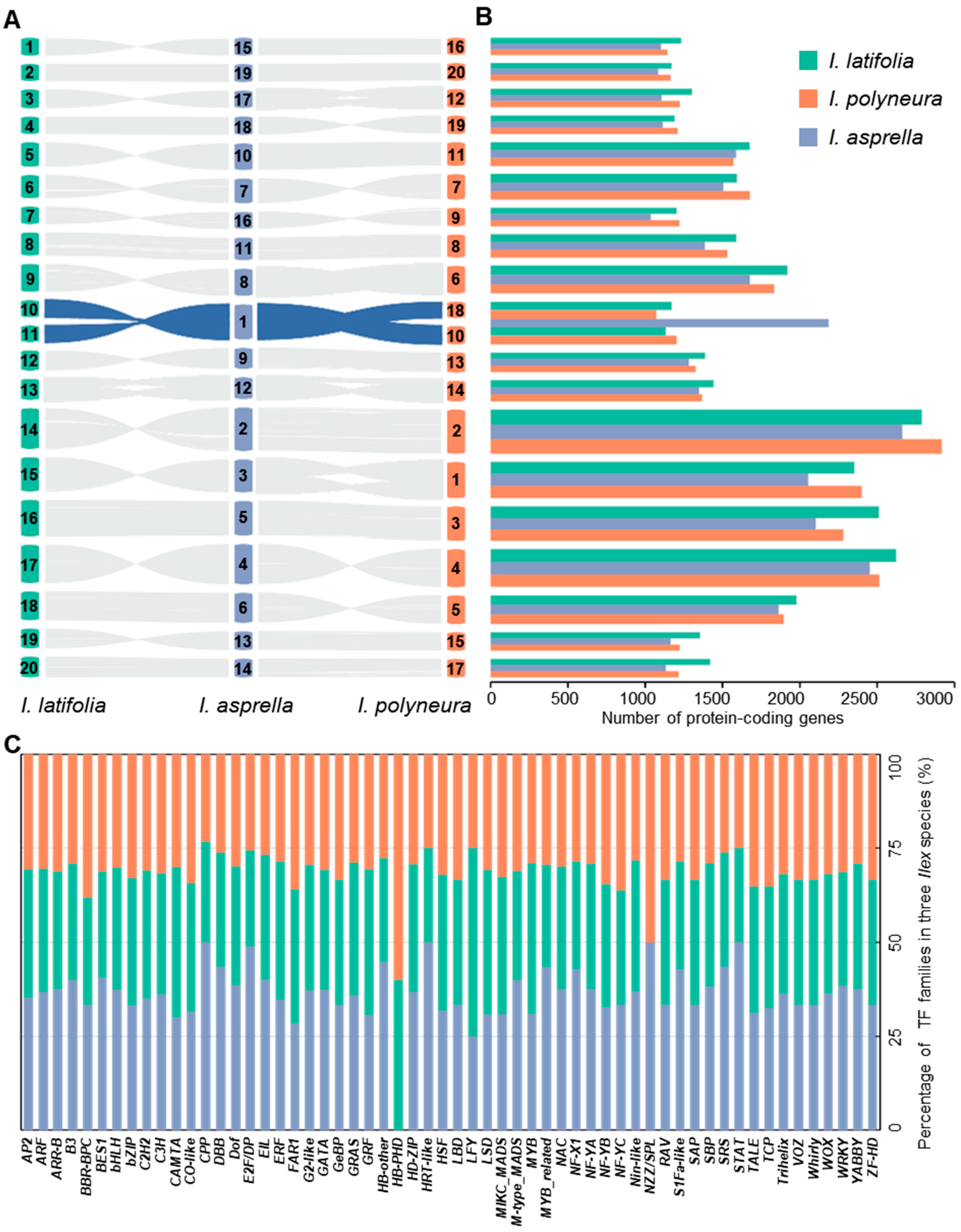 Plants 13 02649 g002