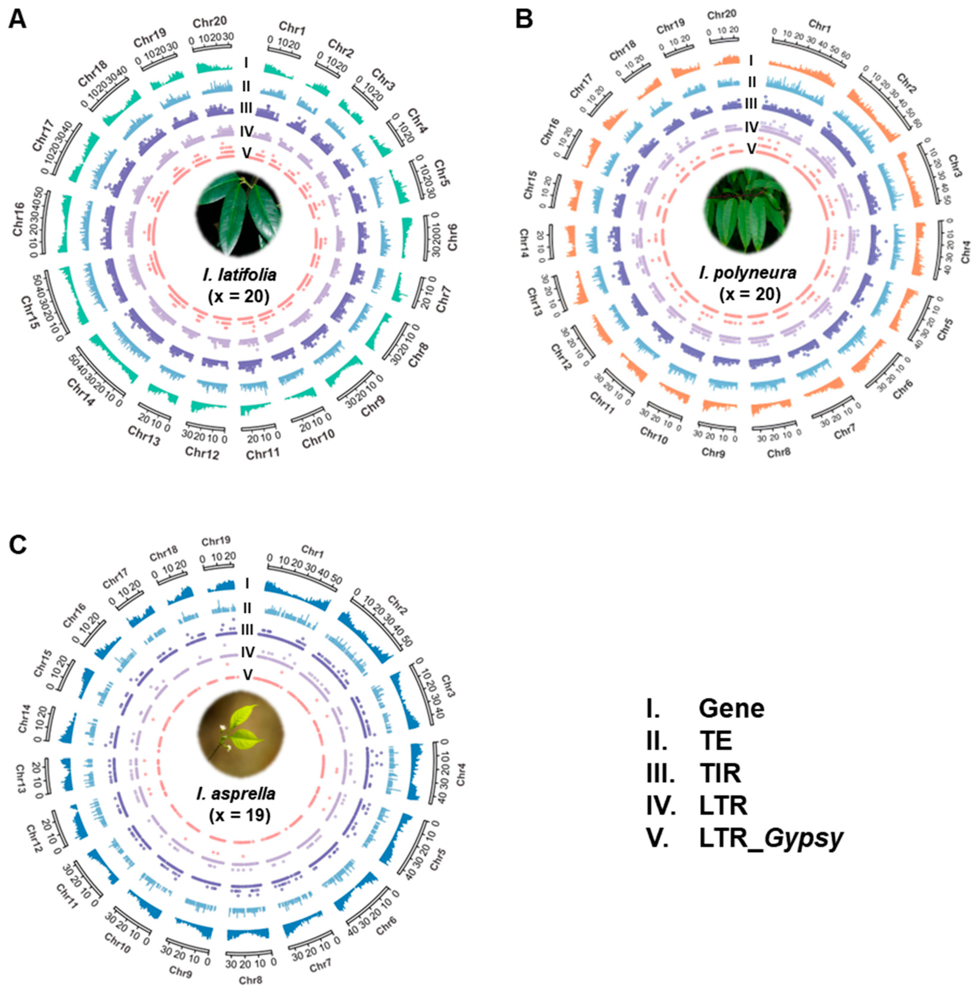 Plants 13 02649 g004