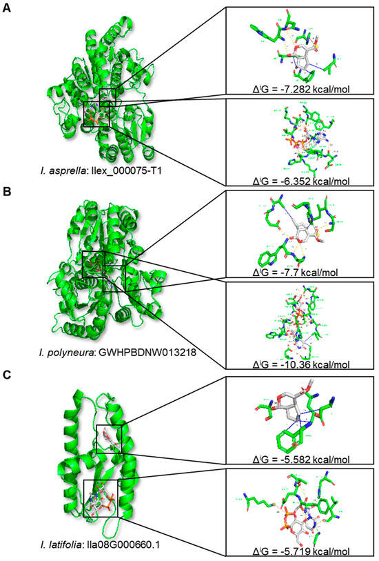 Impact of Chromosomal Fusion and Transposable Elements on