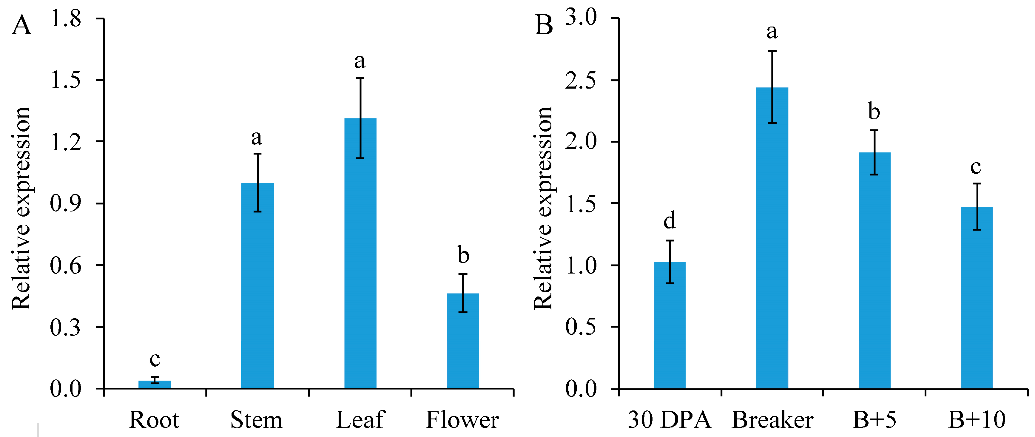 Plants 13 02650 g001