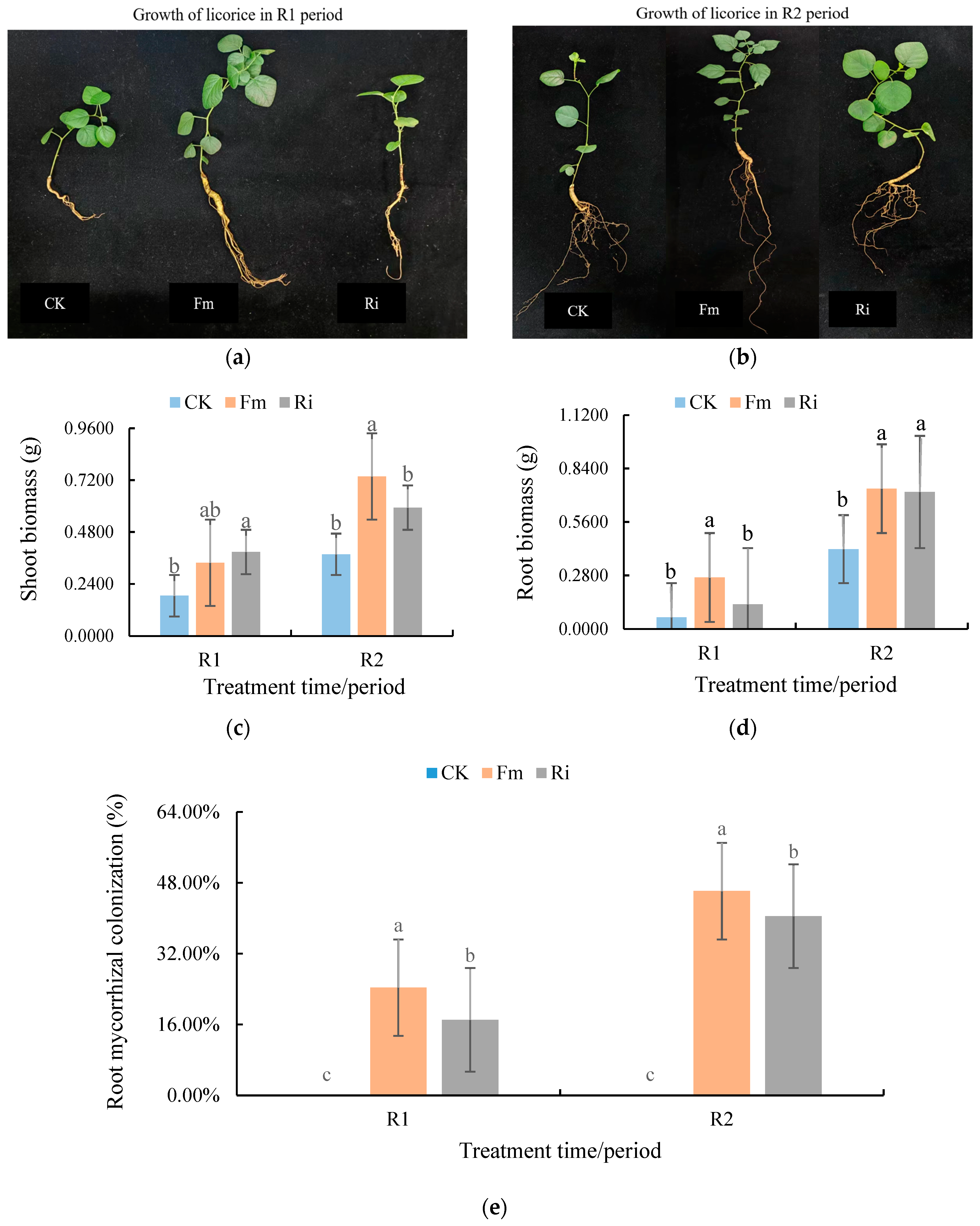 Plants 13 02652 g001