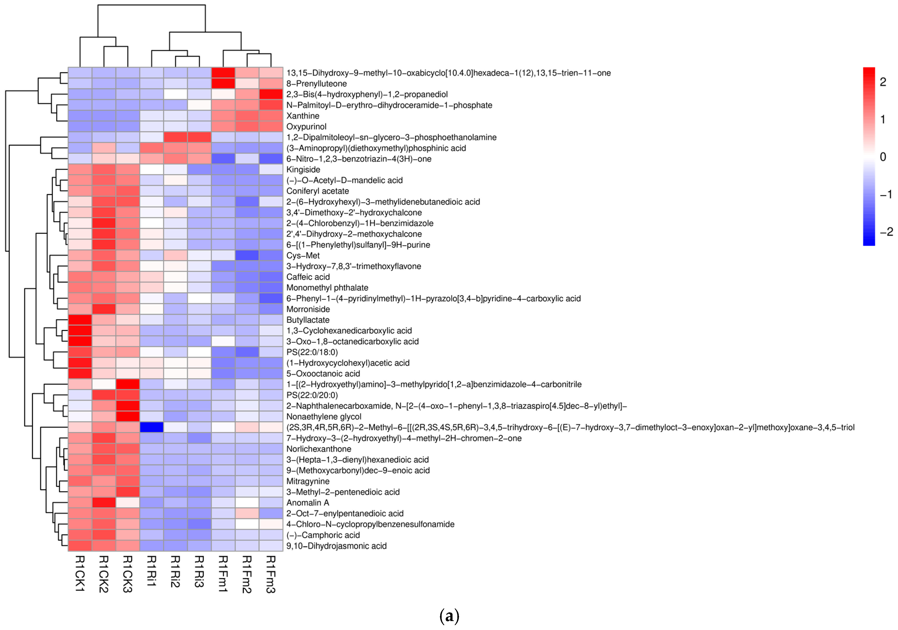 Plants 13 02652 g005a