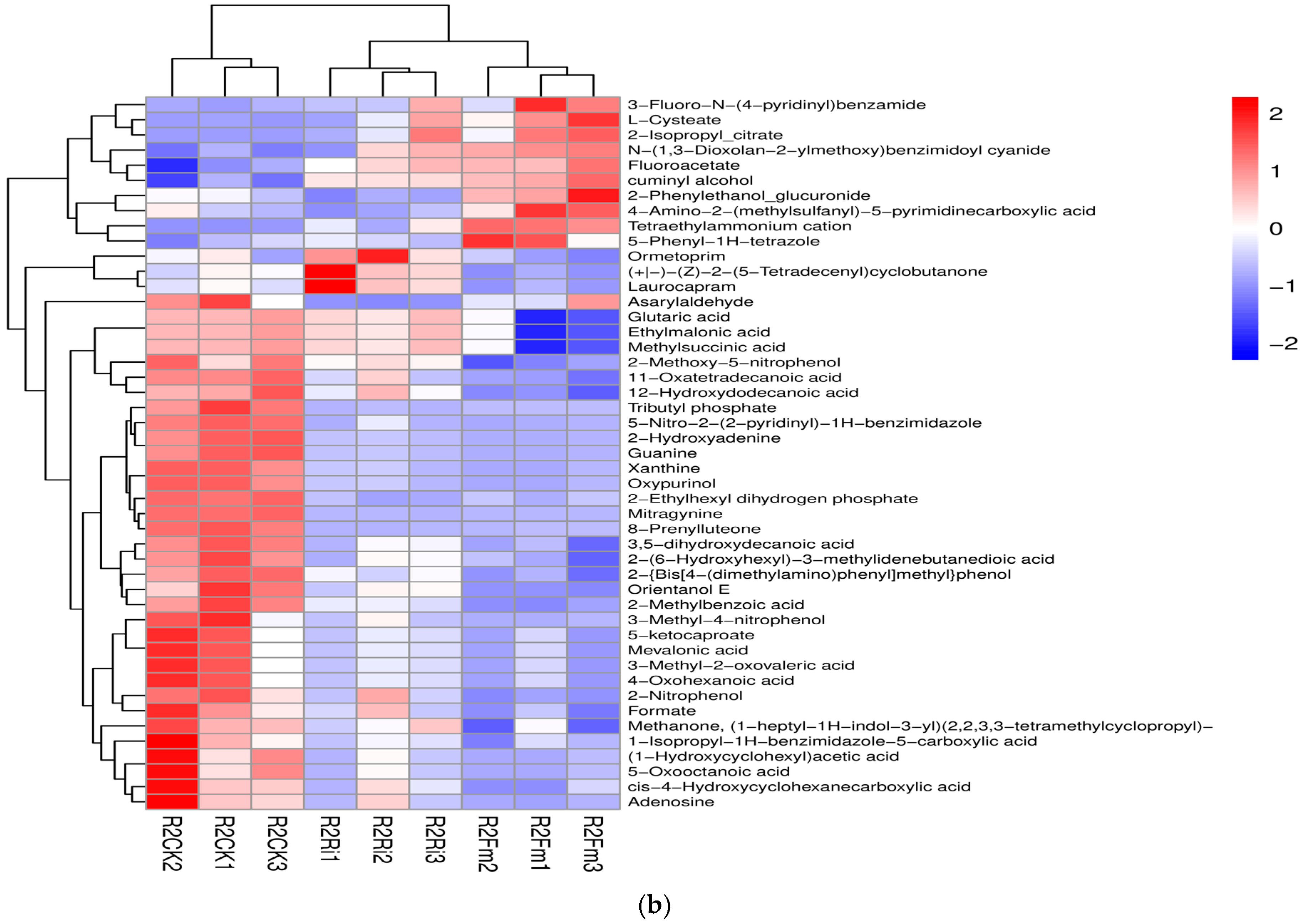 Plants 13 02652 g005b