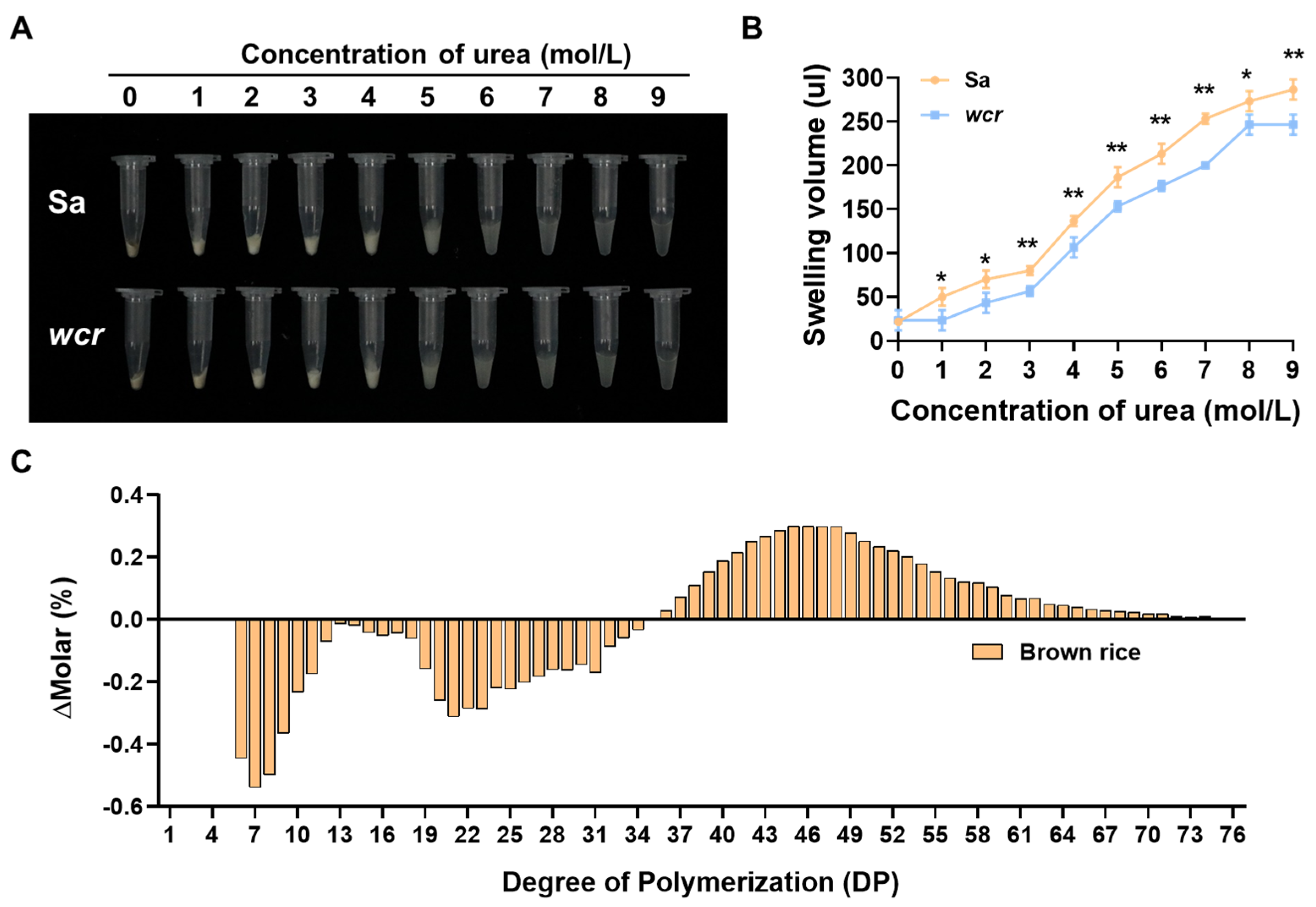 Plants 13 02653 g003 Plants 13 02653 g003