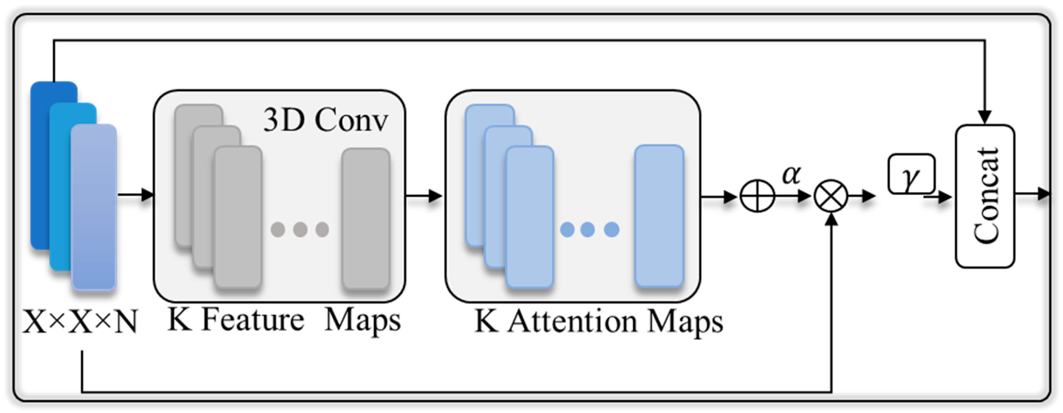 Plants 13 02655 g002