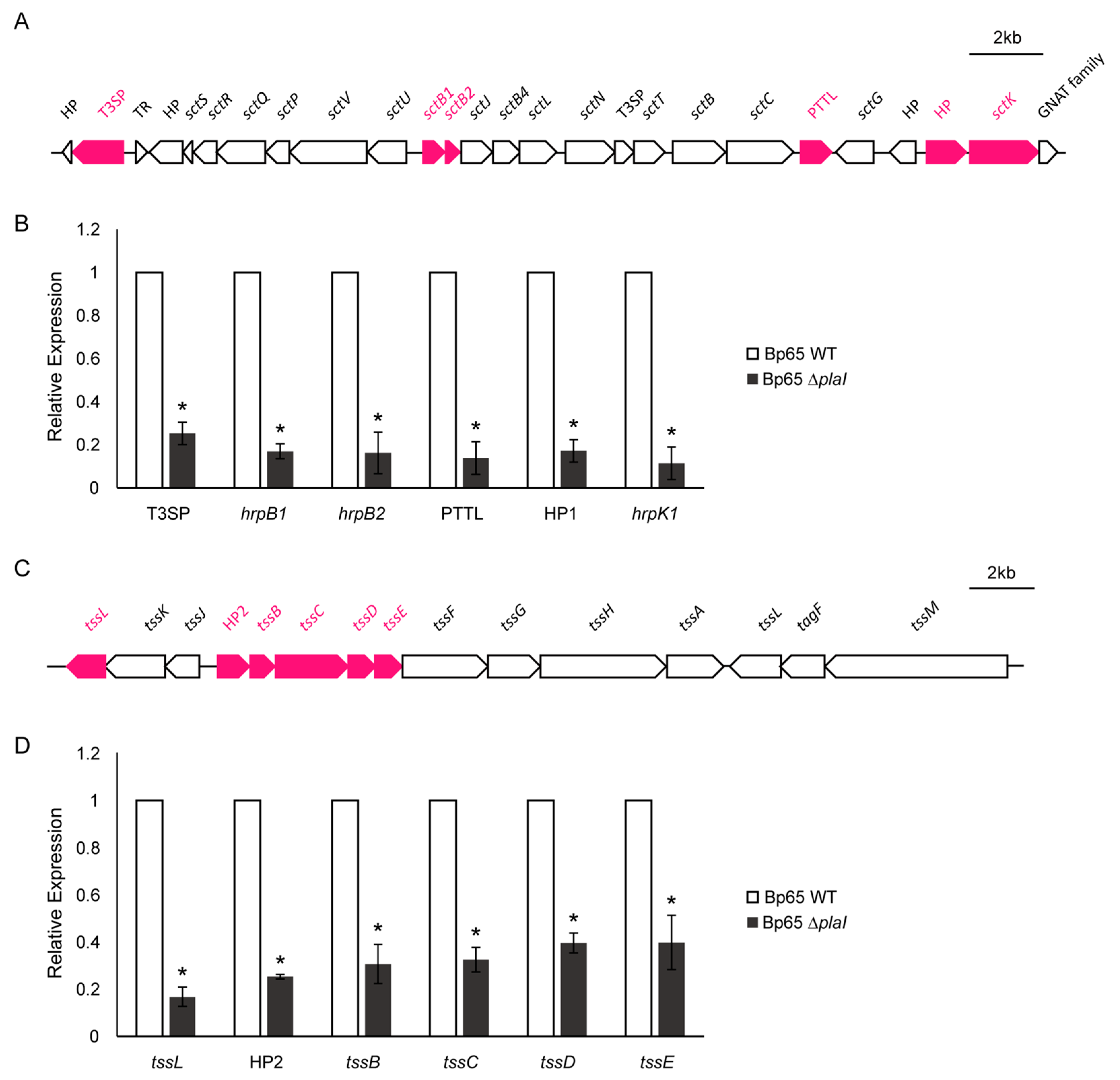 Plants 13 02657 g007