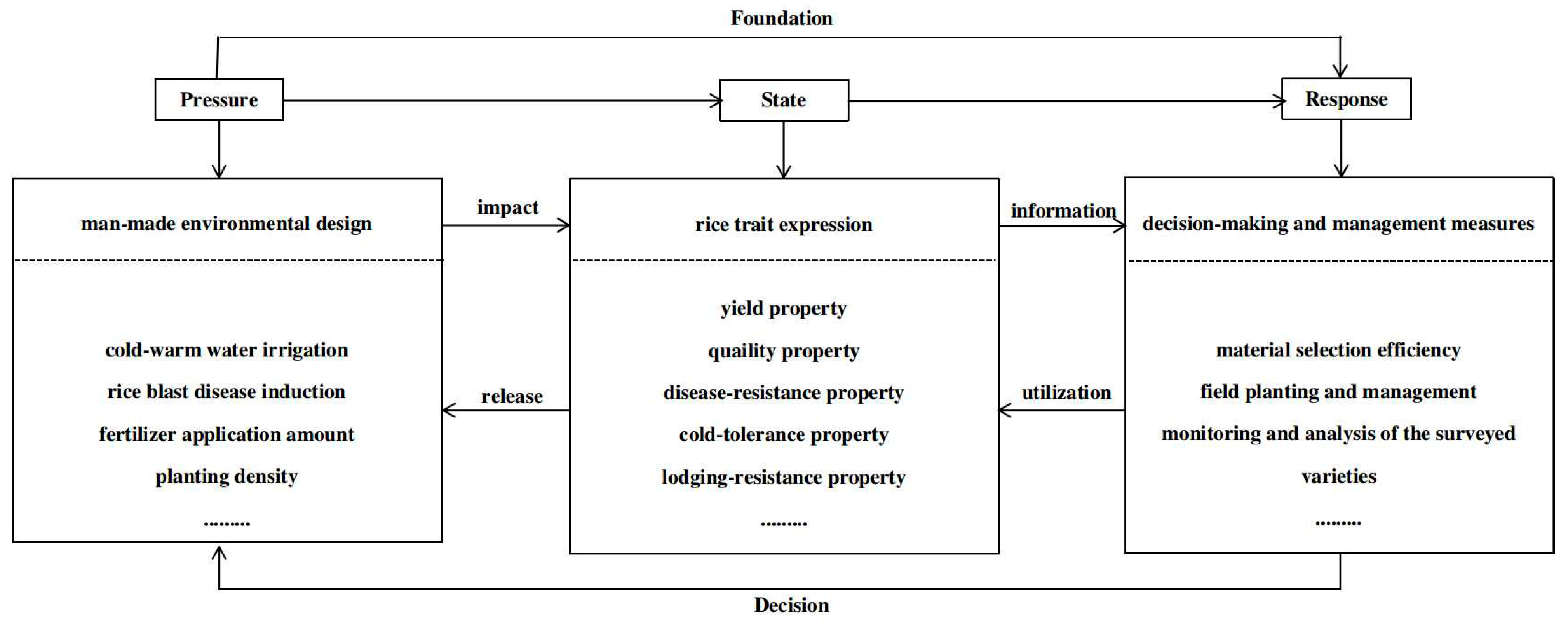 Plants 13 02658 g003