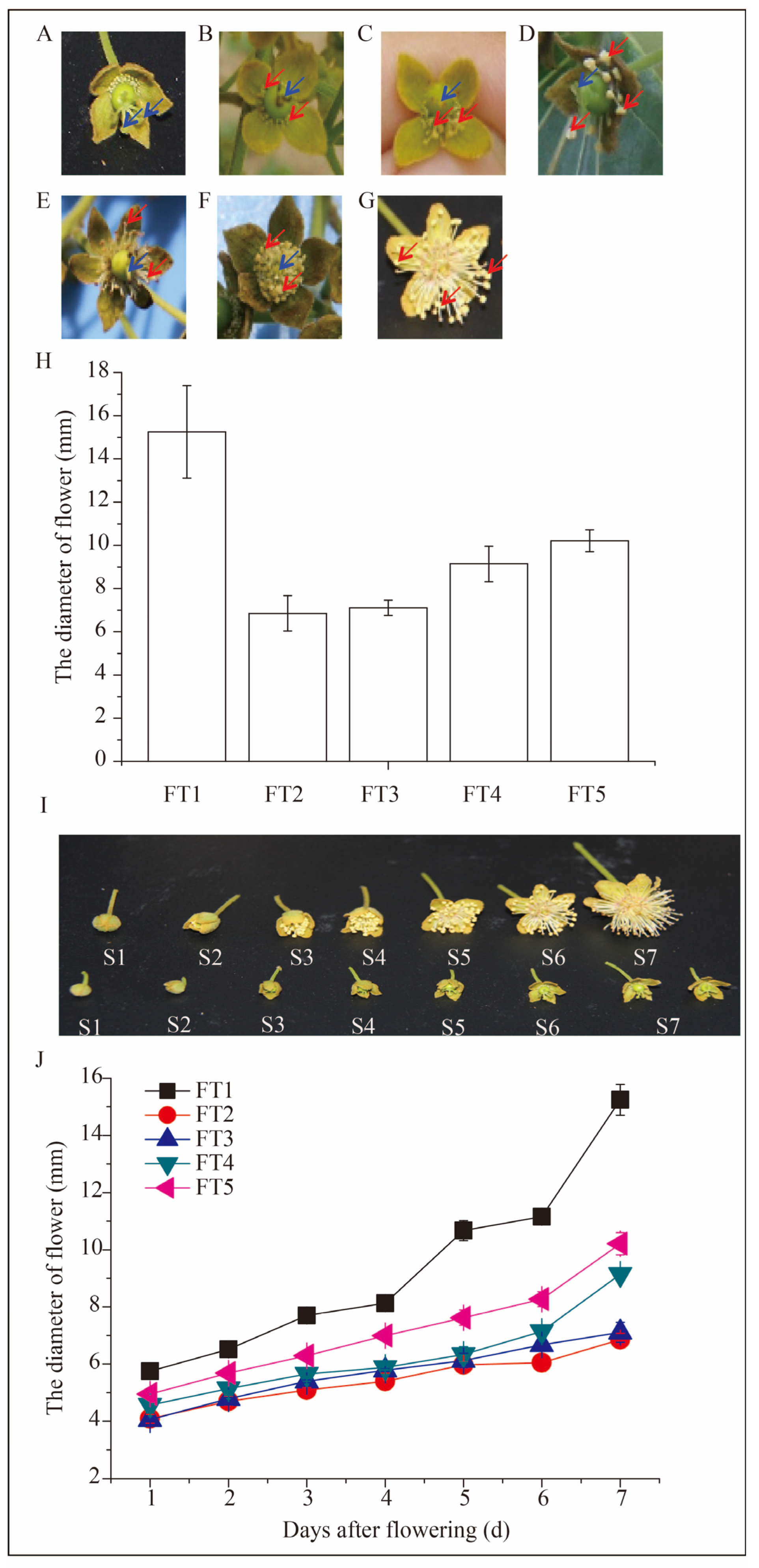 Plants 13 02663 g001