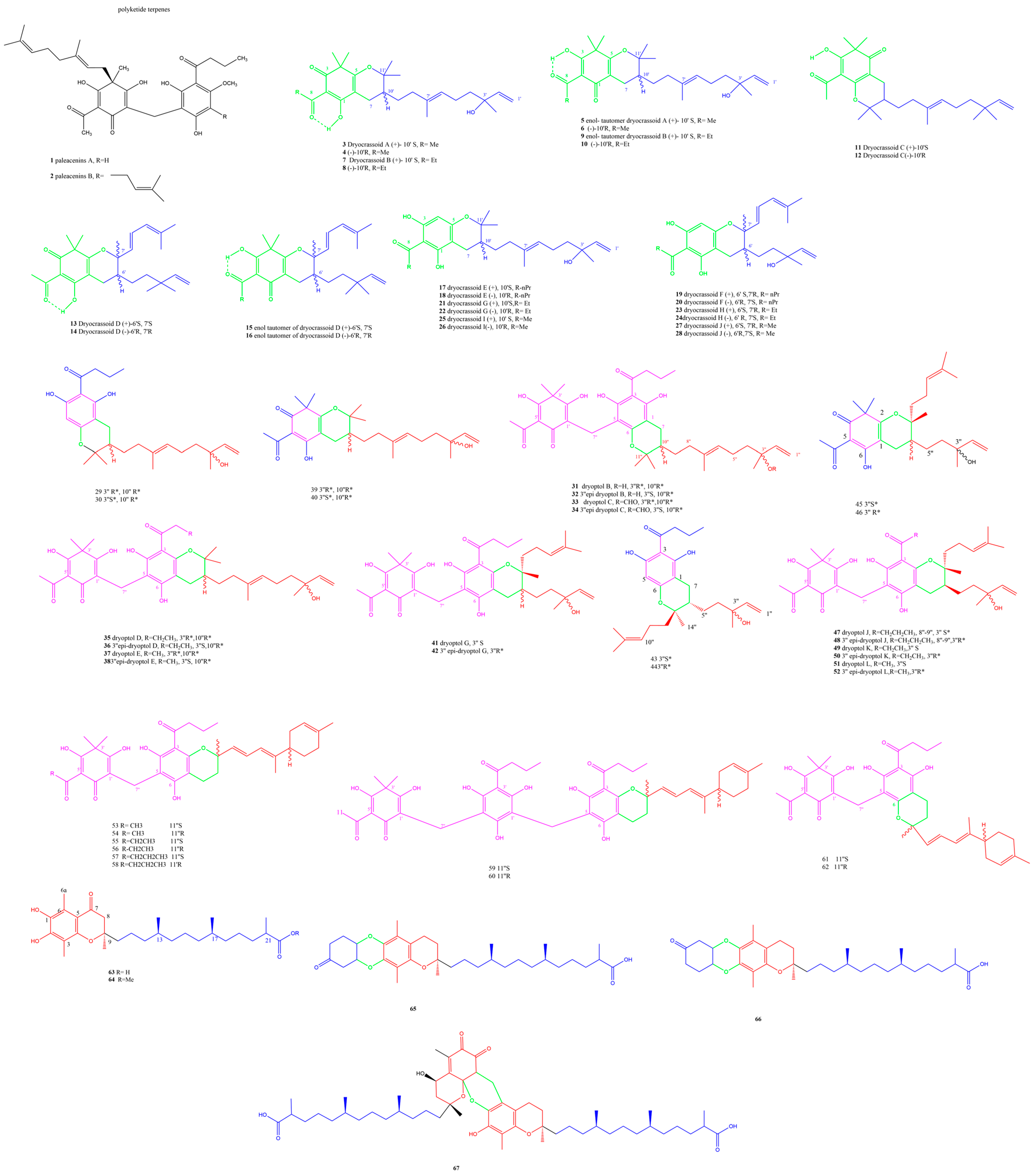 Plants 13 02668 g001 Plants 13 02668 g001