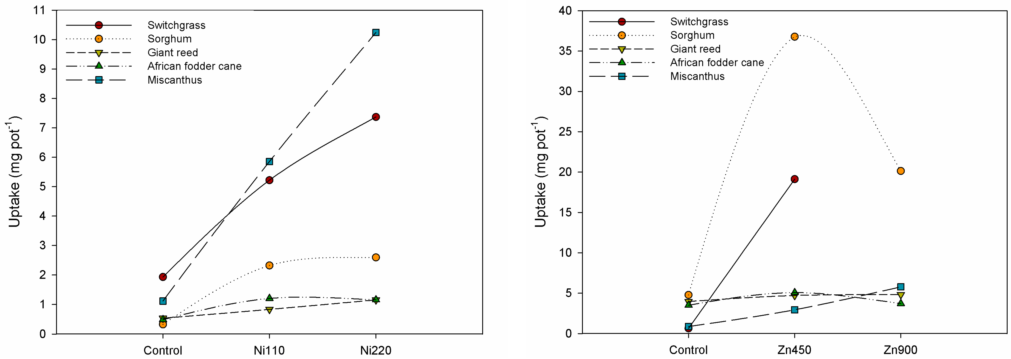 Plants 13 02671 g002b