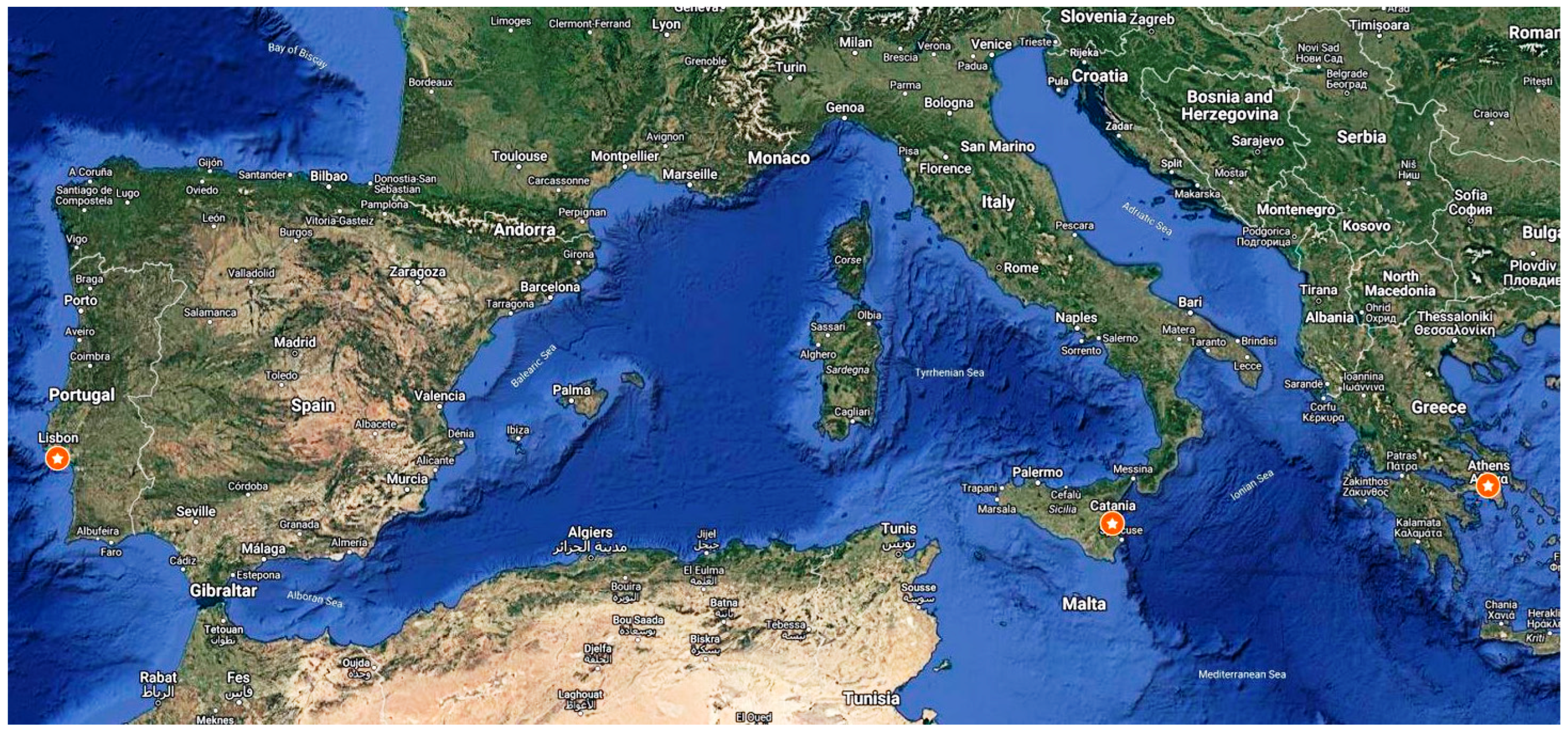 Plants 13 02671 g006