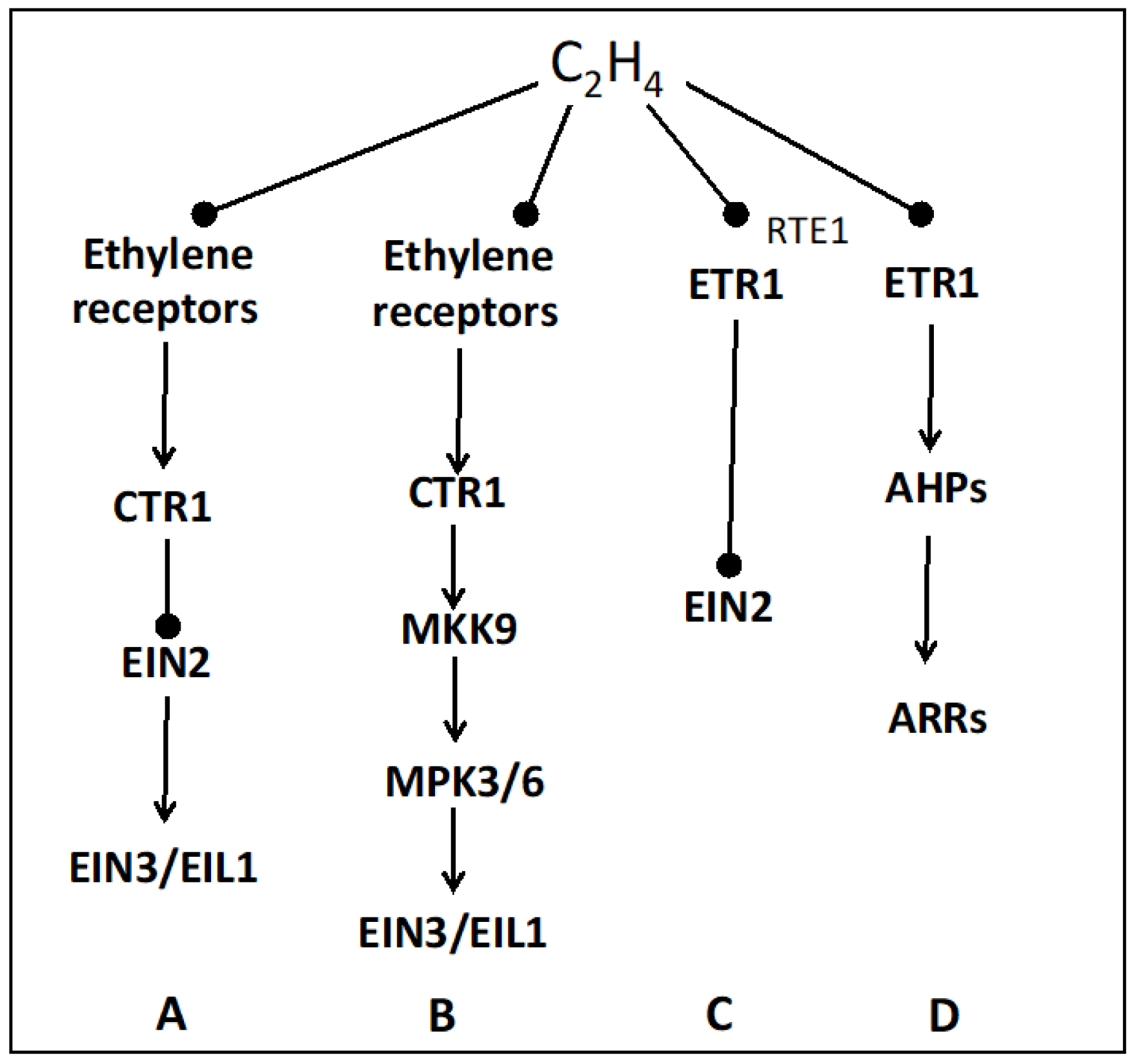 Plants 13 02674 g003