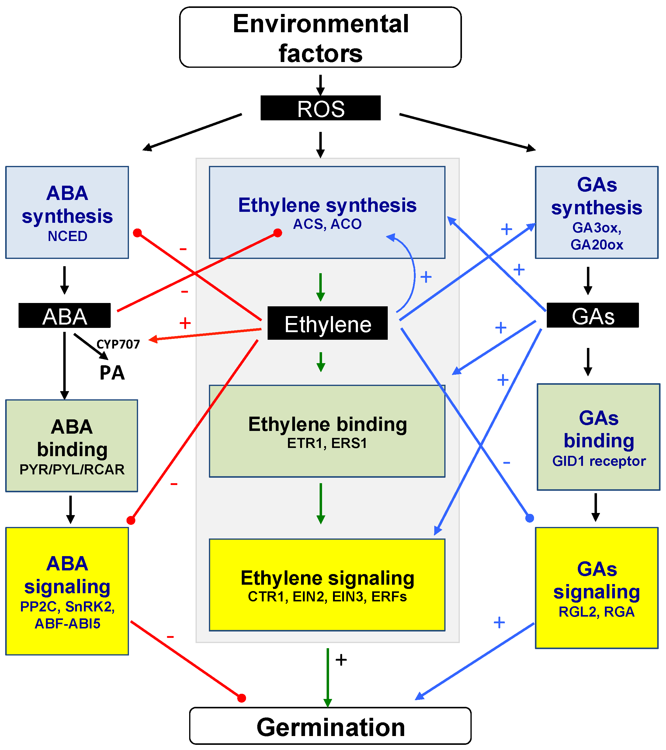 Plants 13 02674 g004