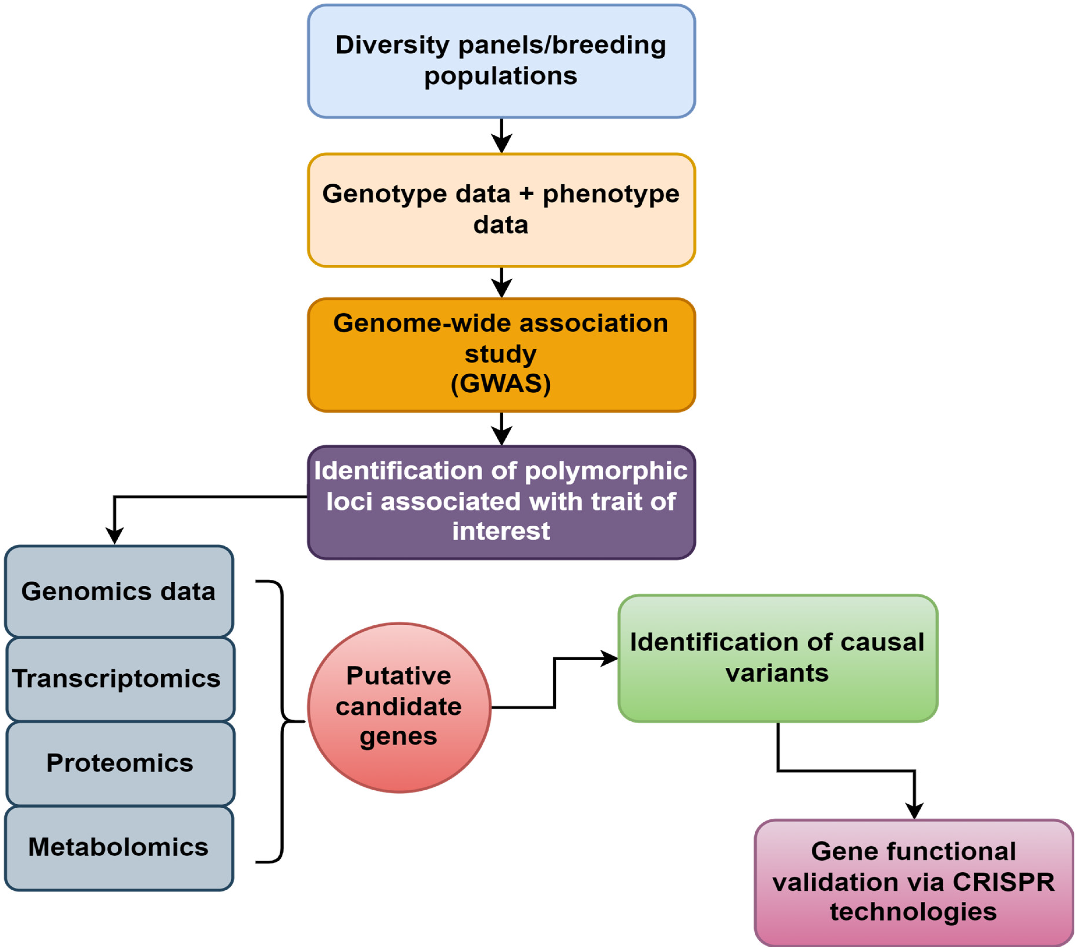 Plants 13 02676 g002 Plants 13 02676 g002