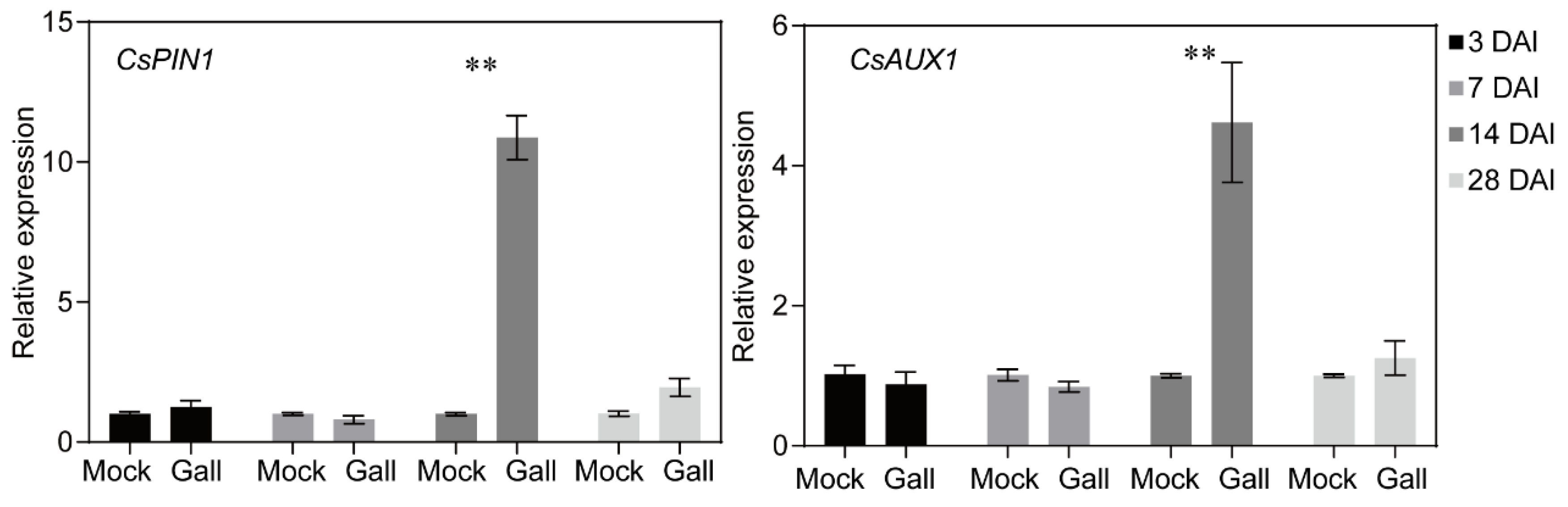 Plants 13 02679 g005