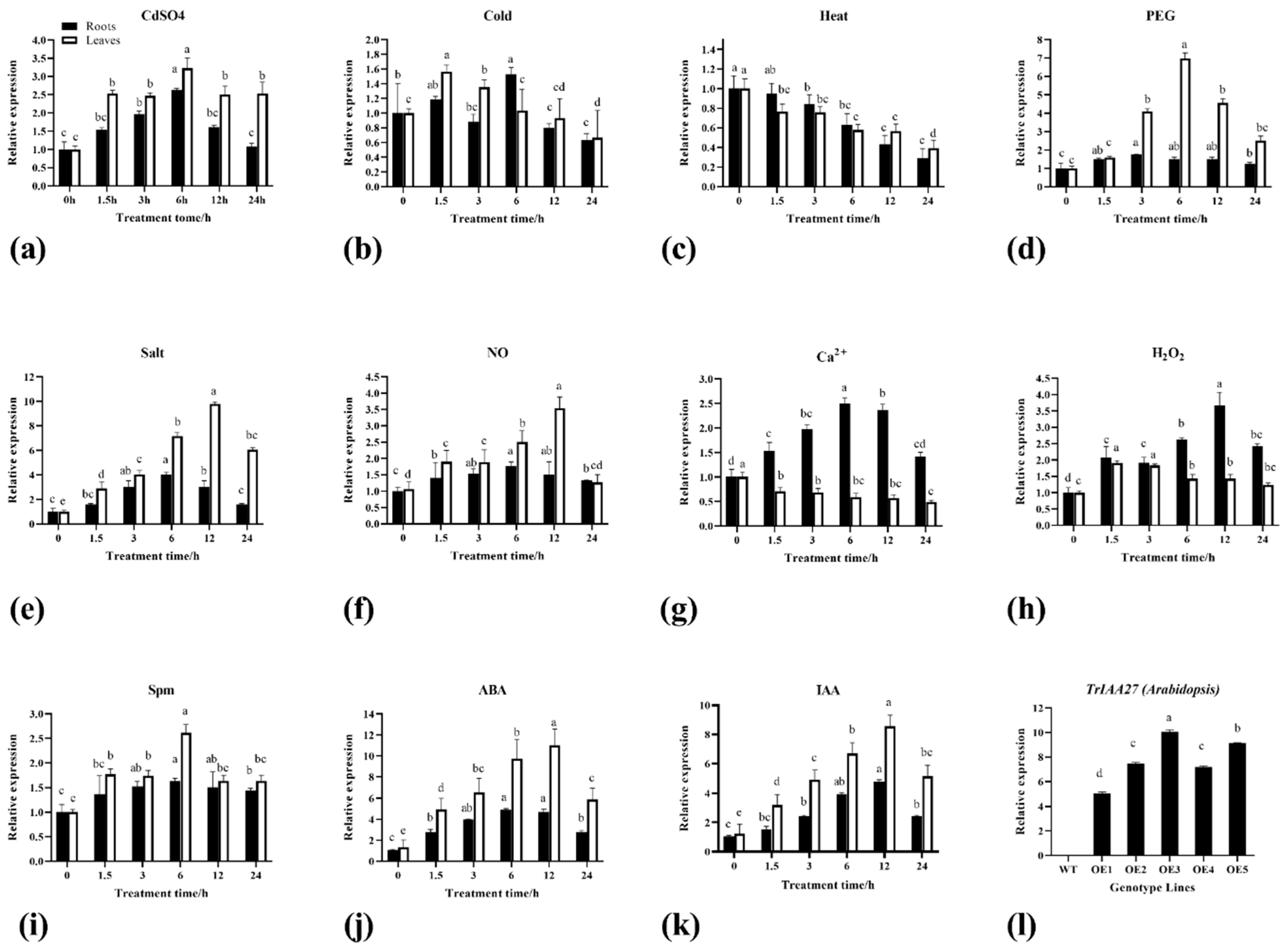 Plants 13 02684 g002